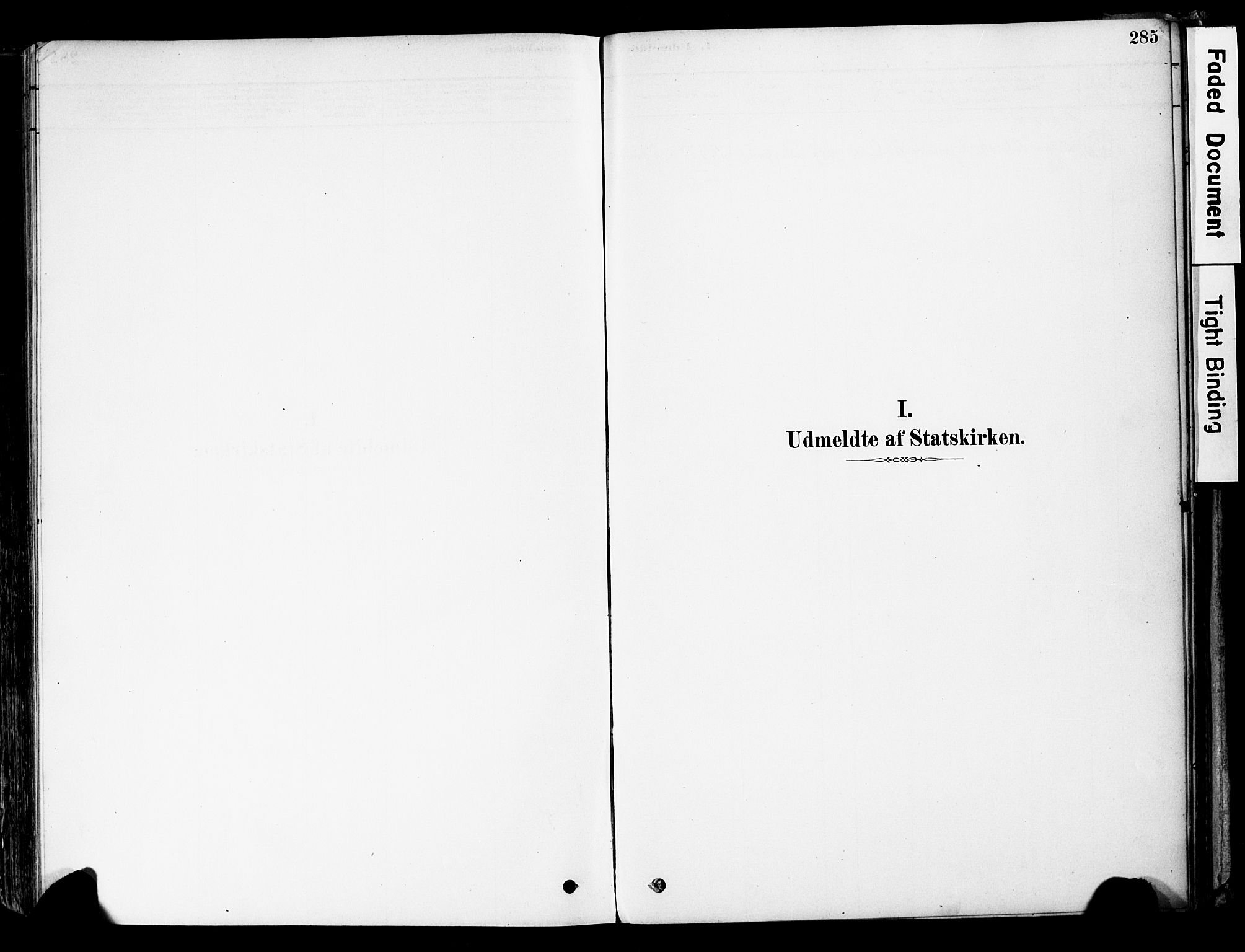 Øyer prestekontor, AV/SAH-PREST-084/H/Ha/Haa/L0008: Parish register (official) no. 8, 1878-1897, p. 285