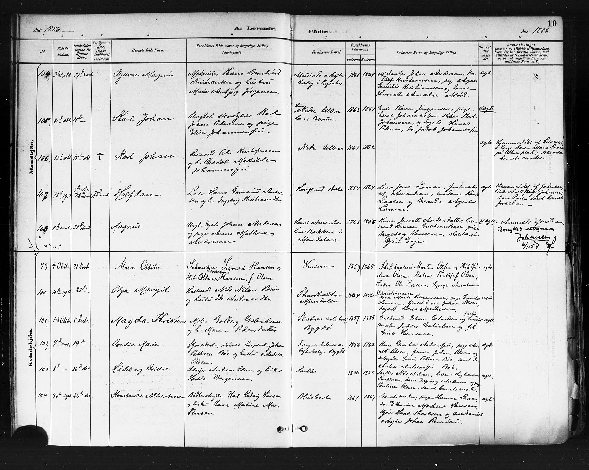 Vestre Aker prestekontor Kirkebøker, SAO/A-10025/F/Fa/L0010: Parish register (official) no. 10, 1886-1903, p. 19