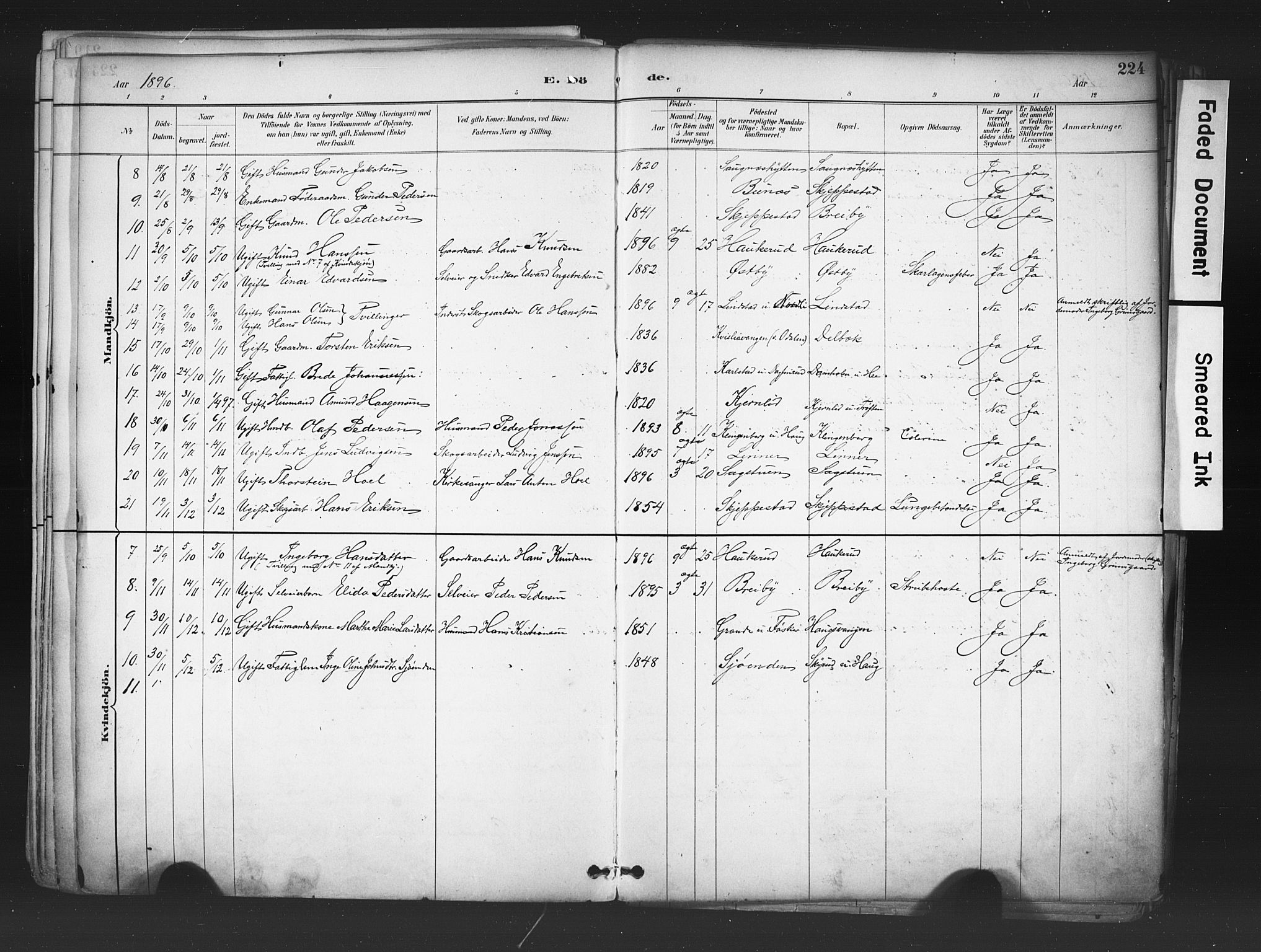 Nord-Odal prestekontor, AV/SAH-PREST-032/H/Ha/Haa/L0006: Parish register (official) no. 6, 1886-1901, p. 224