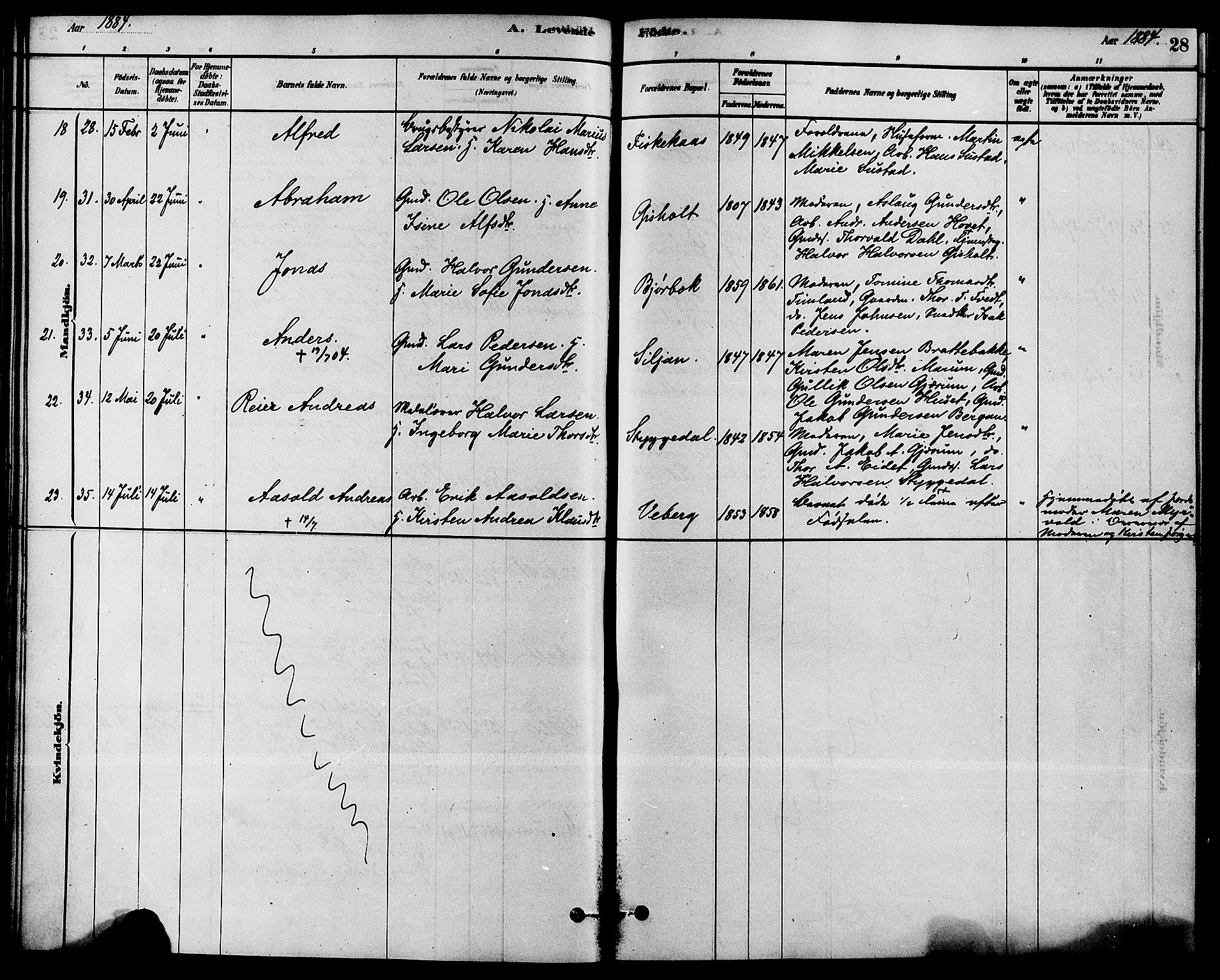 Solum kirkebøker, AV/SAKO-A-306/F/Fb/L0001: Parish register (official) no. II 1, 1877-1892, p. 28