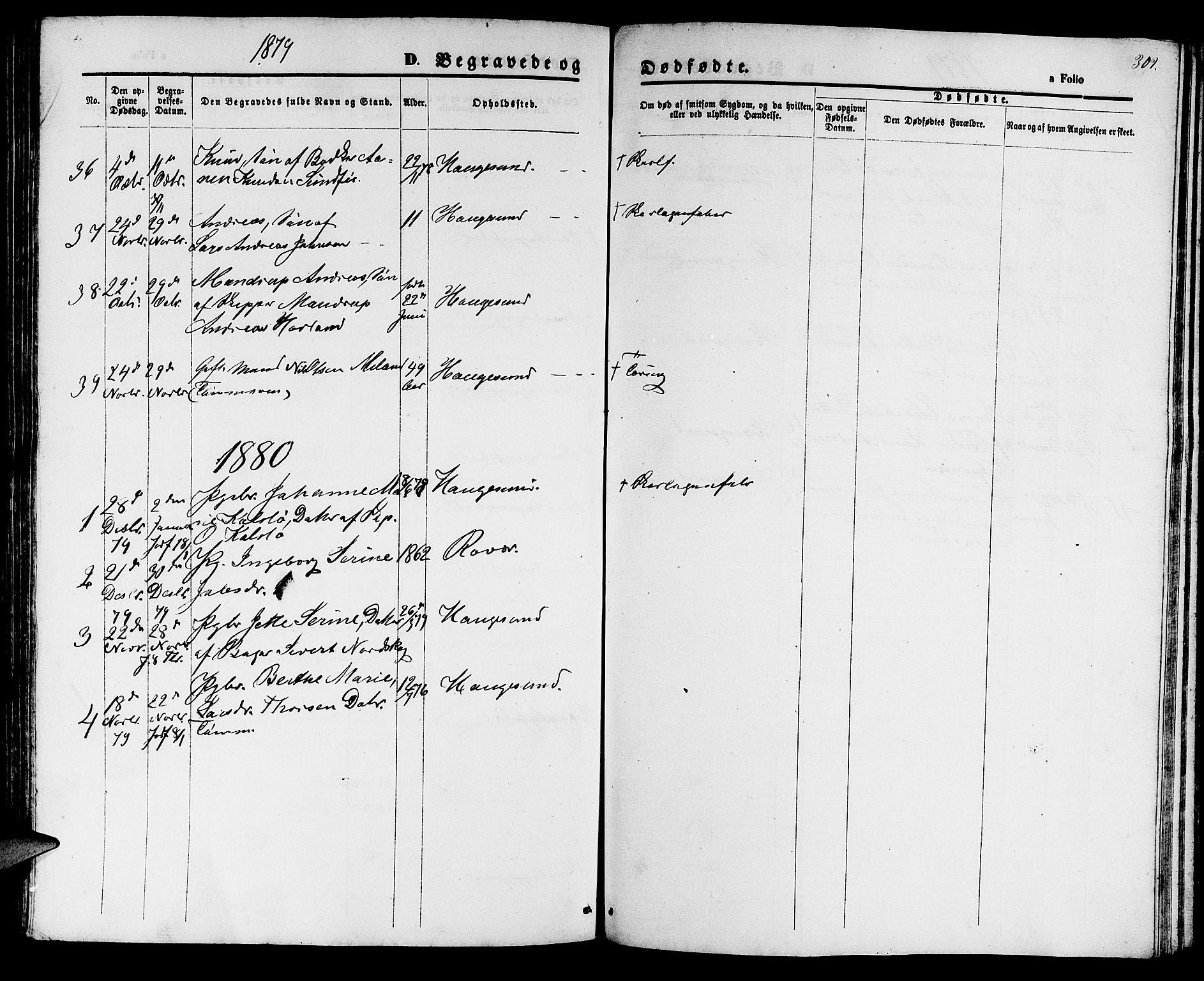 Haugesund sokneprestkontor, AV/SAST-A -101863/H/Ha/Hab/L0001: Parish register (copy) no. B 1, 1873-1881, p. 309