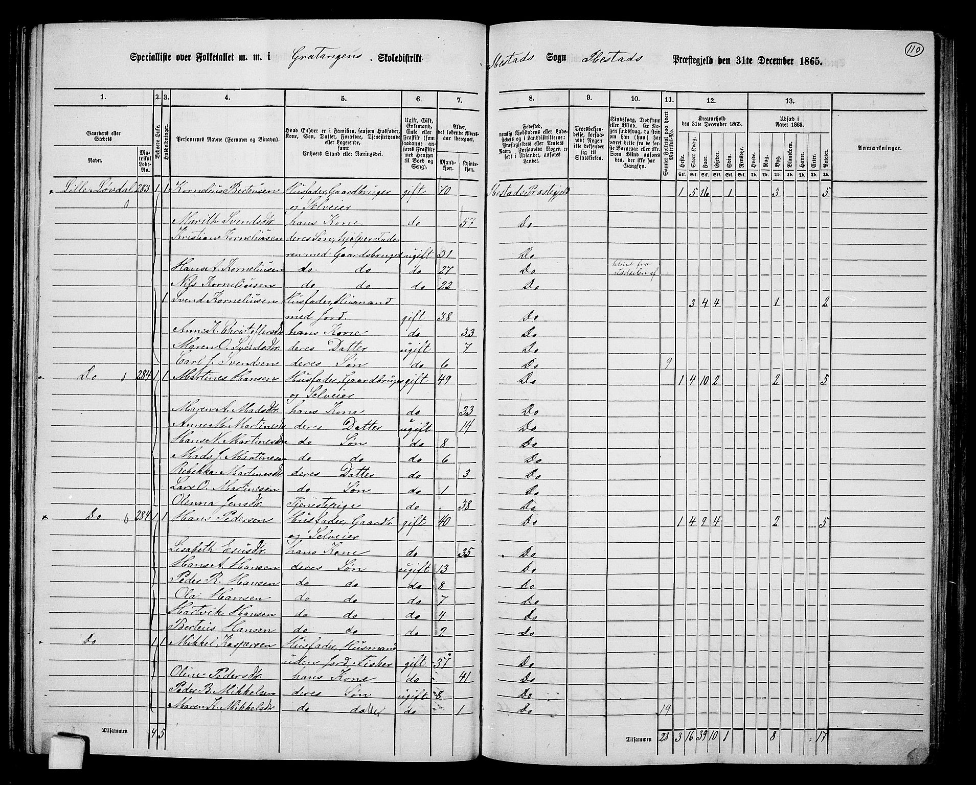 RA, 1865 census for Ibestad, 1865, p. 103