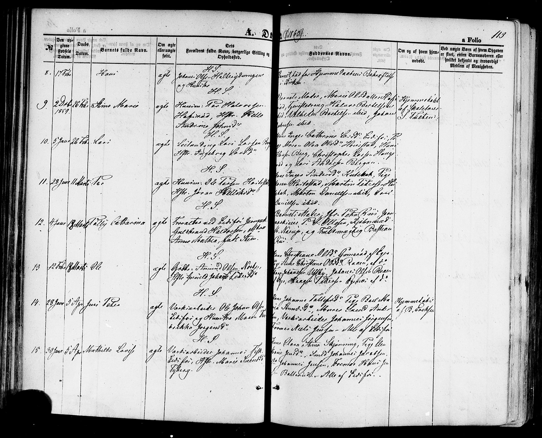 Hof kirkebøker, AV/SAKO-A-64/F/Fa/L0006: Parish register (official) no. I 6, 1851-1877, p. 113