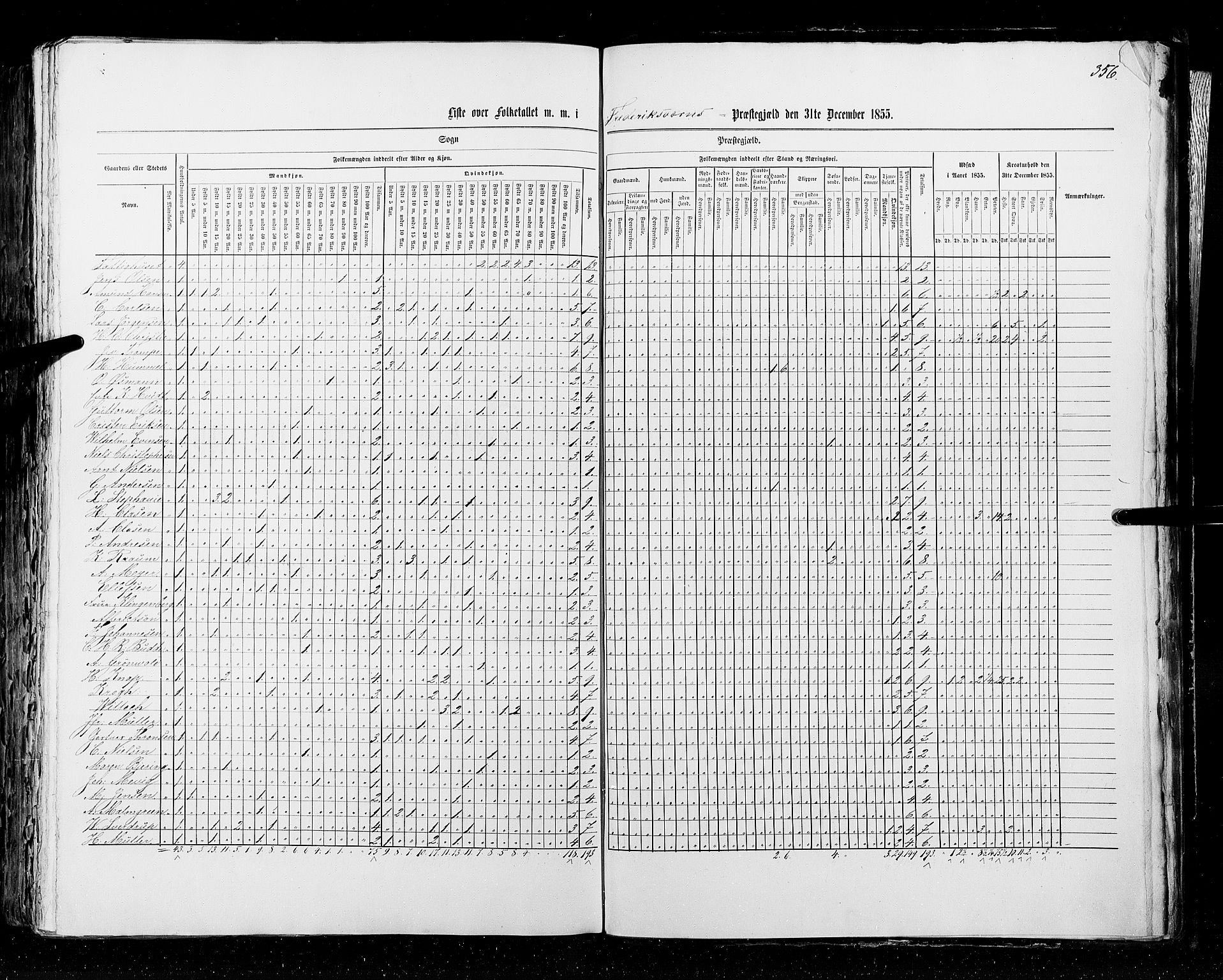 RA, Census 1855, vol. 2: Kristians amt, Buskerud amt og Jarlsberg og Larvik amt, 1855, p. 356