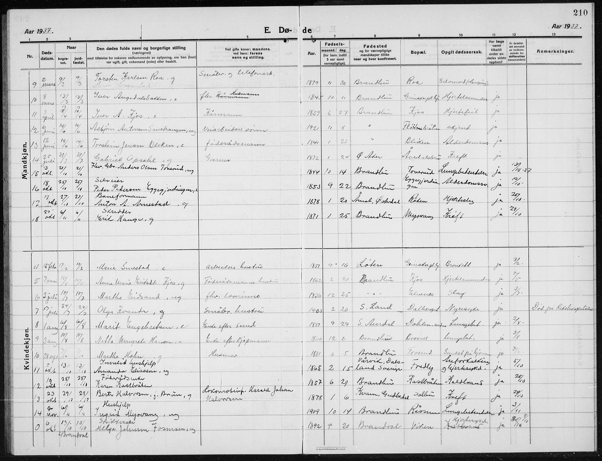 Brandbu prestekontor, AV/SAH-PREST-114/H/Ha/Hab/L0001: Parish register (copy) no. 1, 1914-1937, p. 210