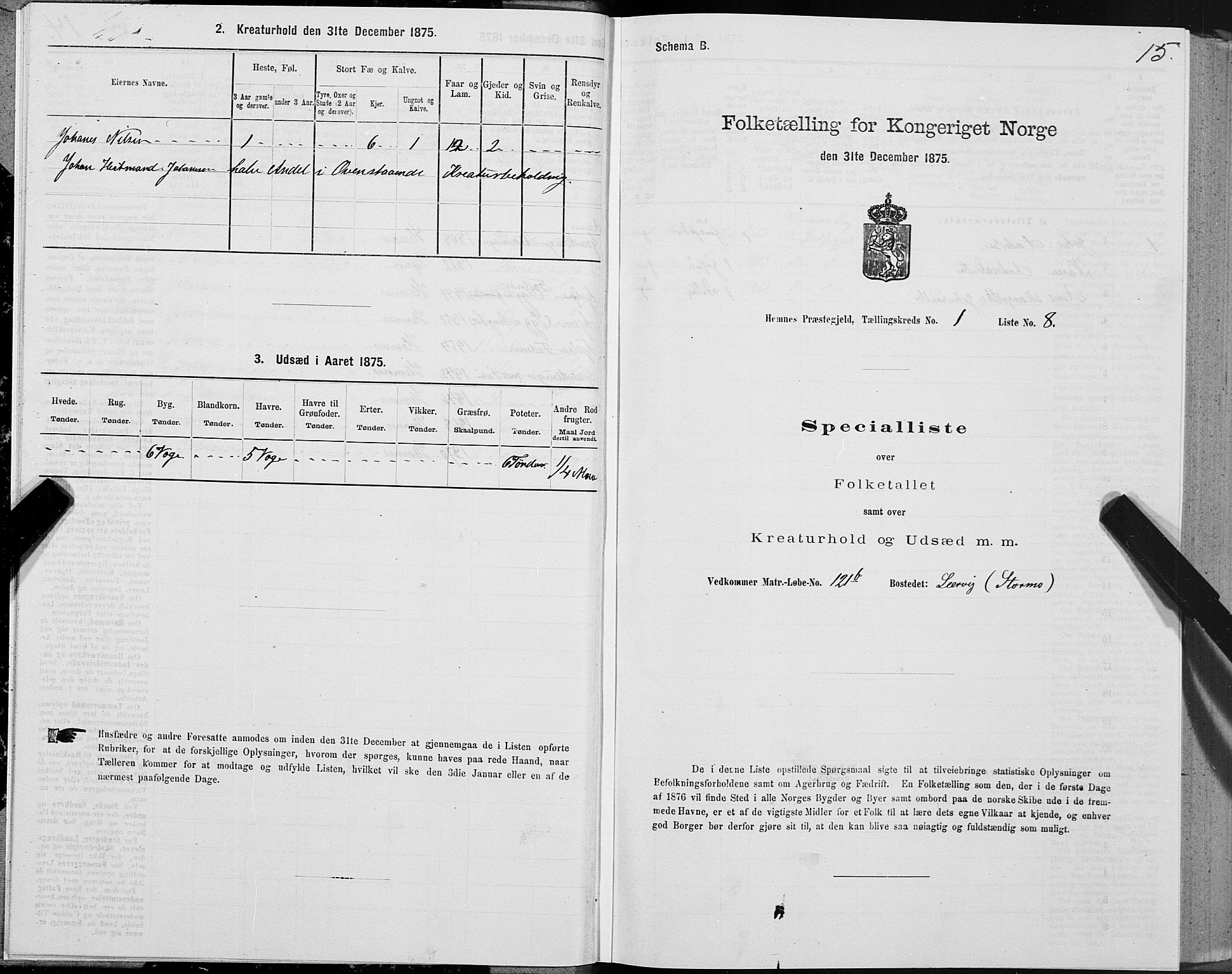 SAT, 1875 census for 1832P Hemnes, 1875, p. 1015