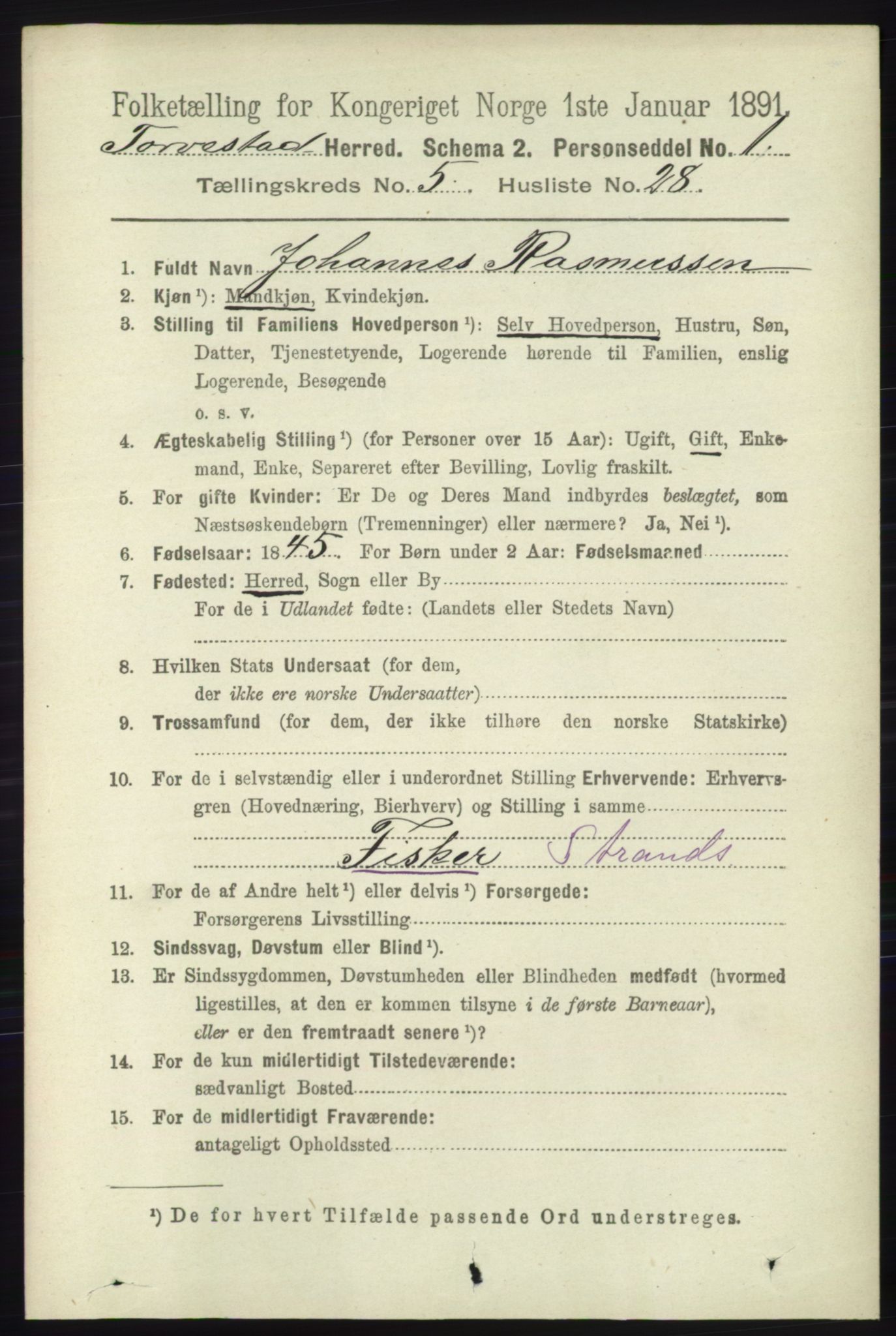 RA, 1891 census for 1152 Torvastad, 1891, p. 1919