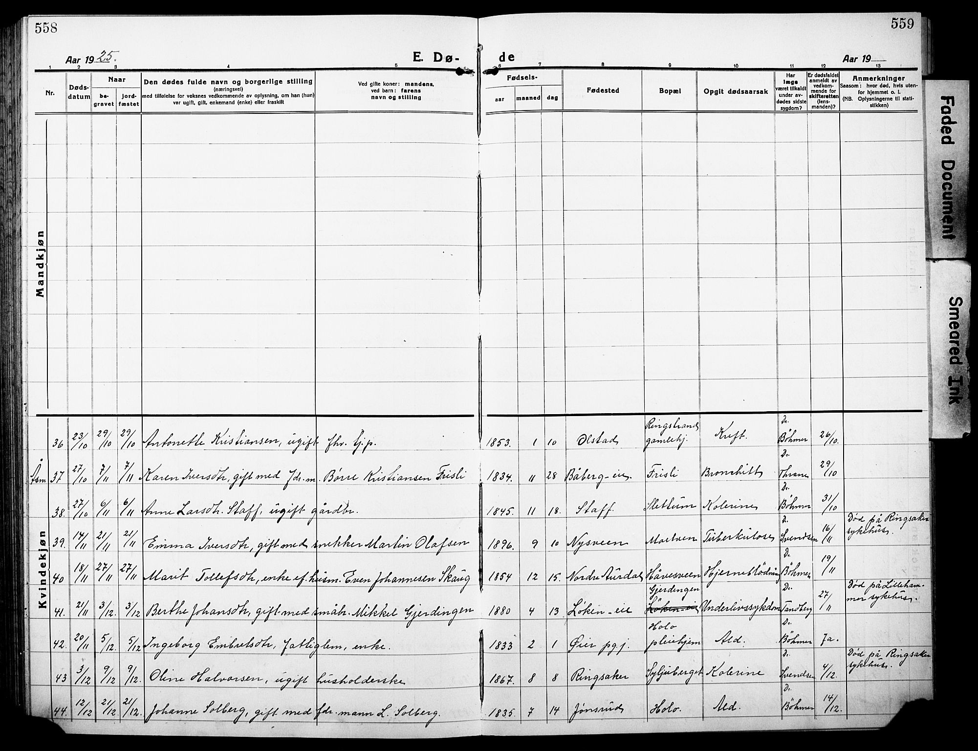 Ringsaker prestekontor, AV/SAH-PREST-014/L/La/L0019: Parish register (copy) no. 19, 1923-1933, p. 558-559