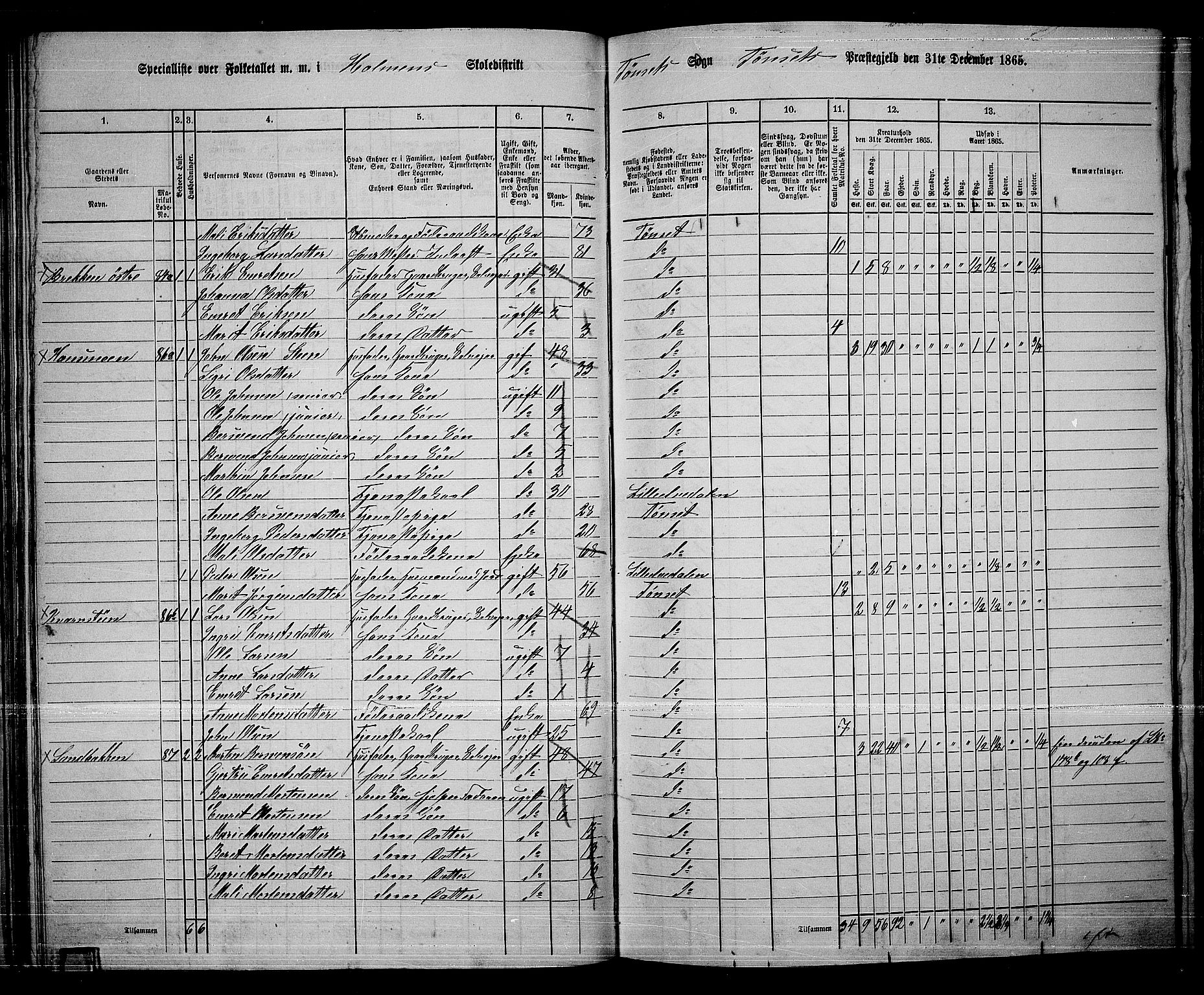 RA, 1865 census for Tynset, 1865, p. 48