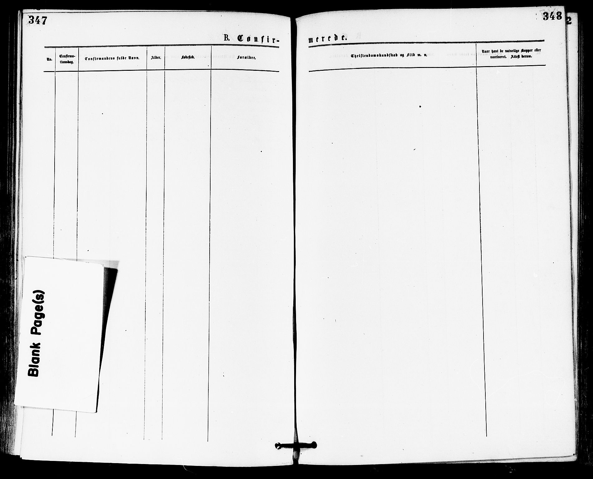 Skoger kirkebøker, AV/SAKO-A-59/F/Fa/L0005: Parish register (official) no. I 5, 1873-1884, p. 347-348