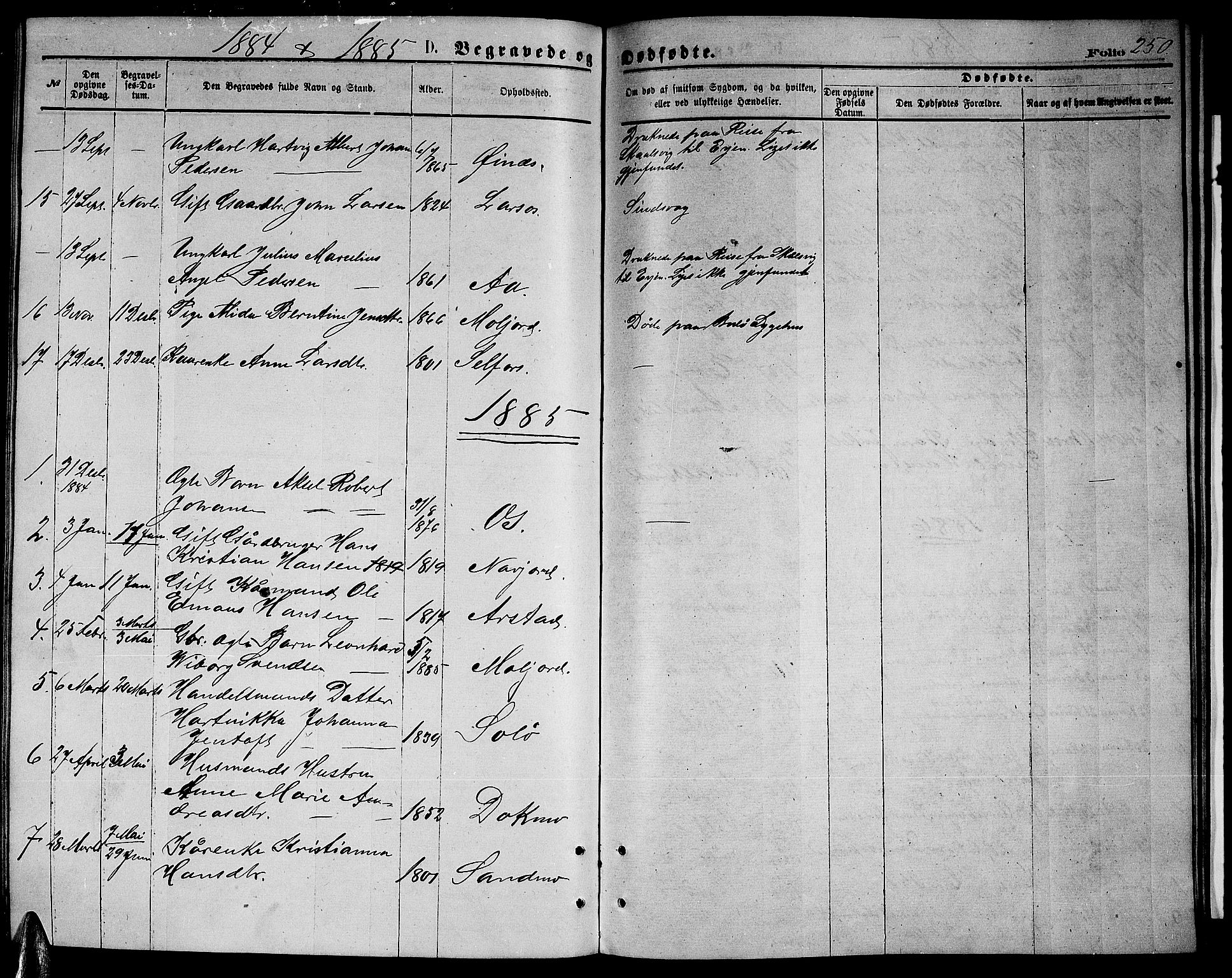 Ministerialprotokoller, klokkerbøker og fødselsregistre - Nordland, AV/SAT-A-1459/846/L0653: Parish register (copy) no. 846C03, 1872-1887, p. 250