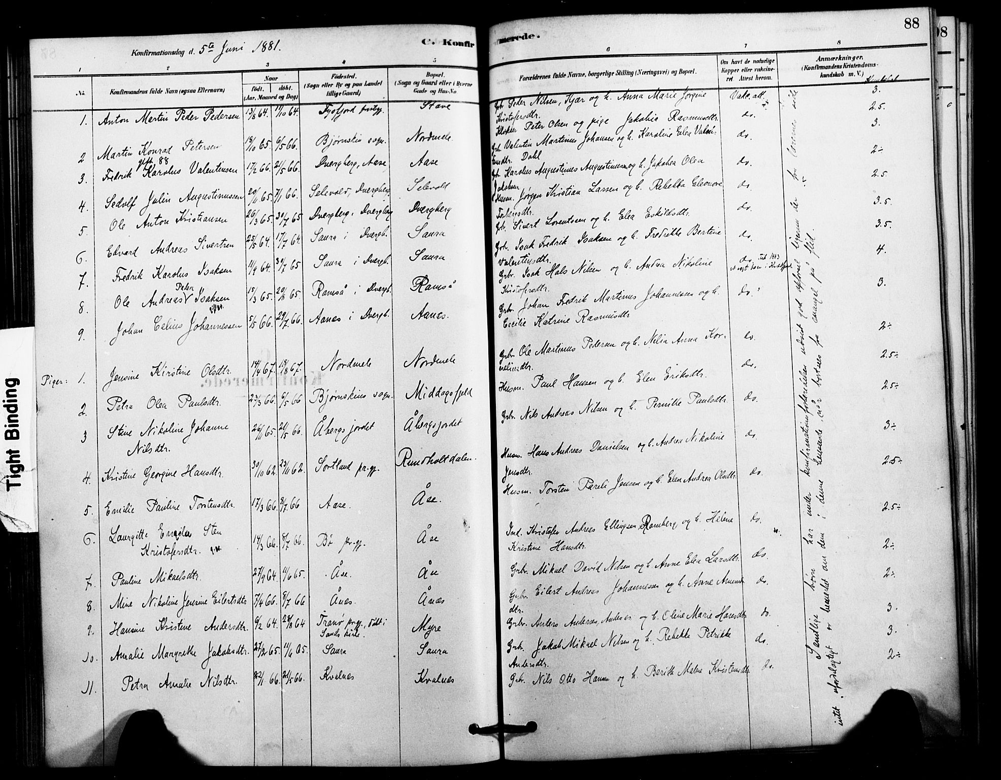 Ministerialprotokoller, klokkerbøker og fødselsregistre - Nordland, AV/SAT-A-1459/897/L1399: Parish register (official) no. 897C06, 1881-1896, p. 88