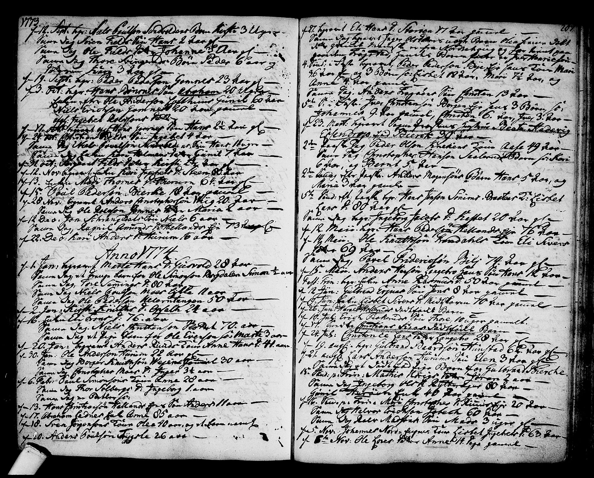 Hole kirkebøker, AV/SAKO-A-228/F/Fa/L0002: Parish register (official) no. I 2, 1766-1814, p. 207