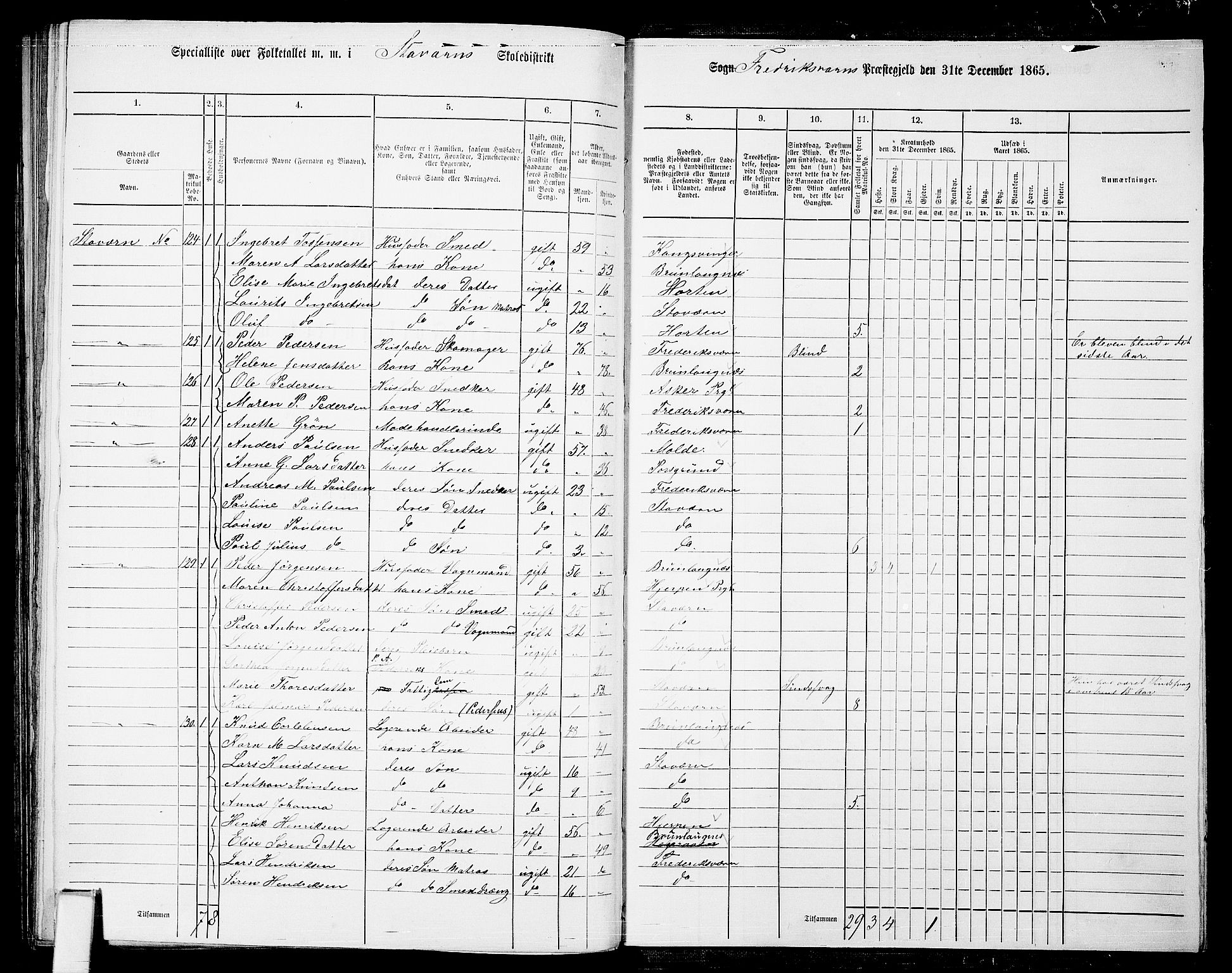 RA, 1865 census for Fredriksvern, 1865, p. 43