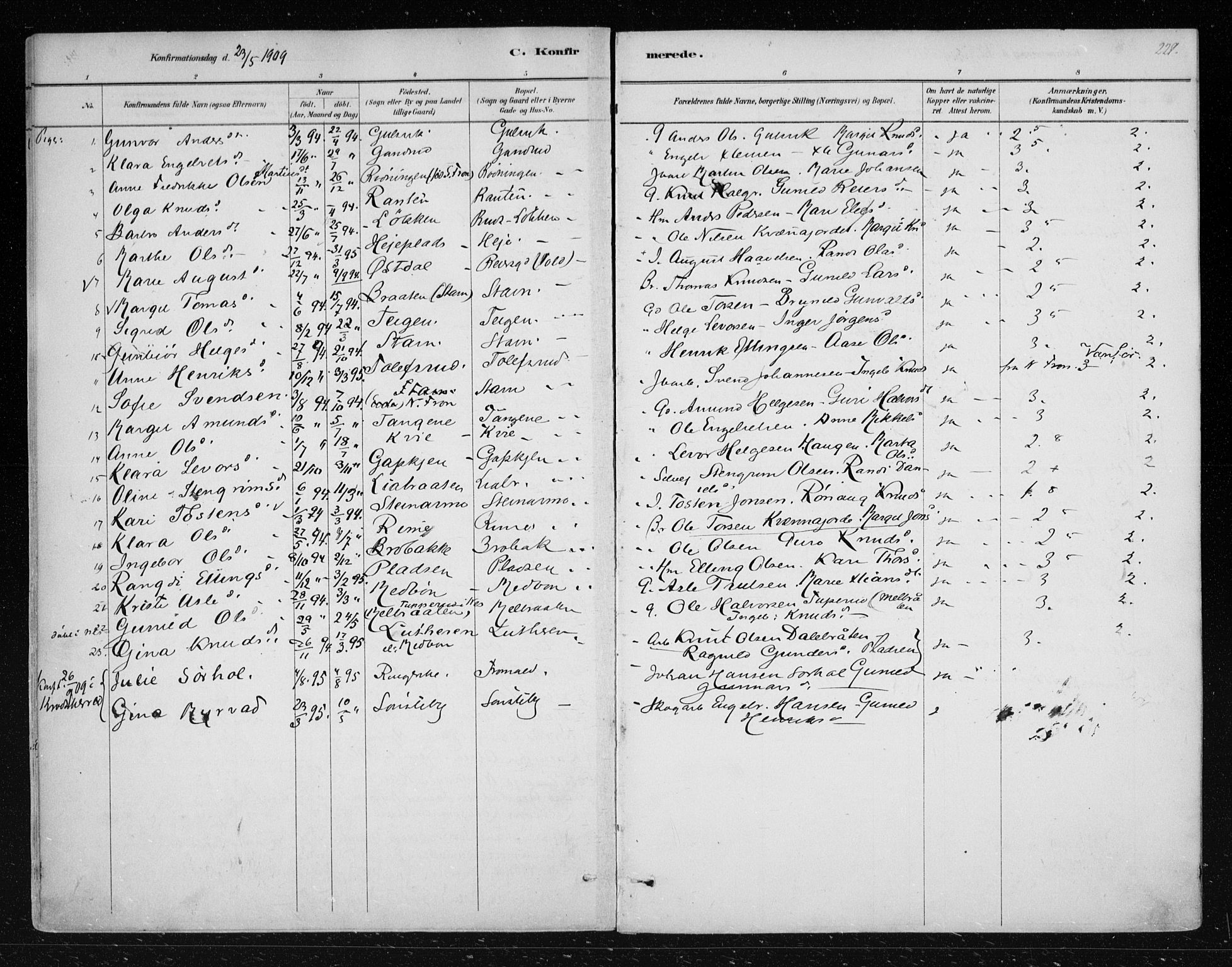 Nes kirkebøker, SAKO/A-236/F/Fa/L0012: Parish register (official) no. 12, 1881-1917, p. 229