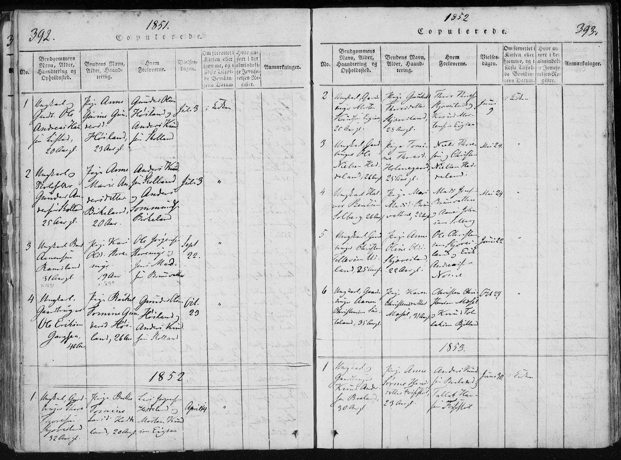 Holum sokneprestkontor, AV/SAK-1111-0022/F/Fa/Fac/L0002: Parish register (official) no. A 2, 1821-1859, p. 392-393