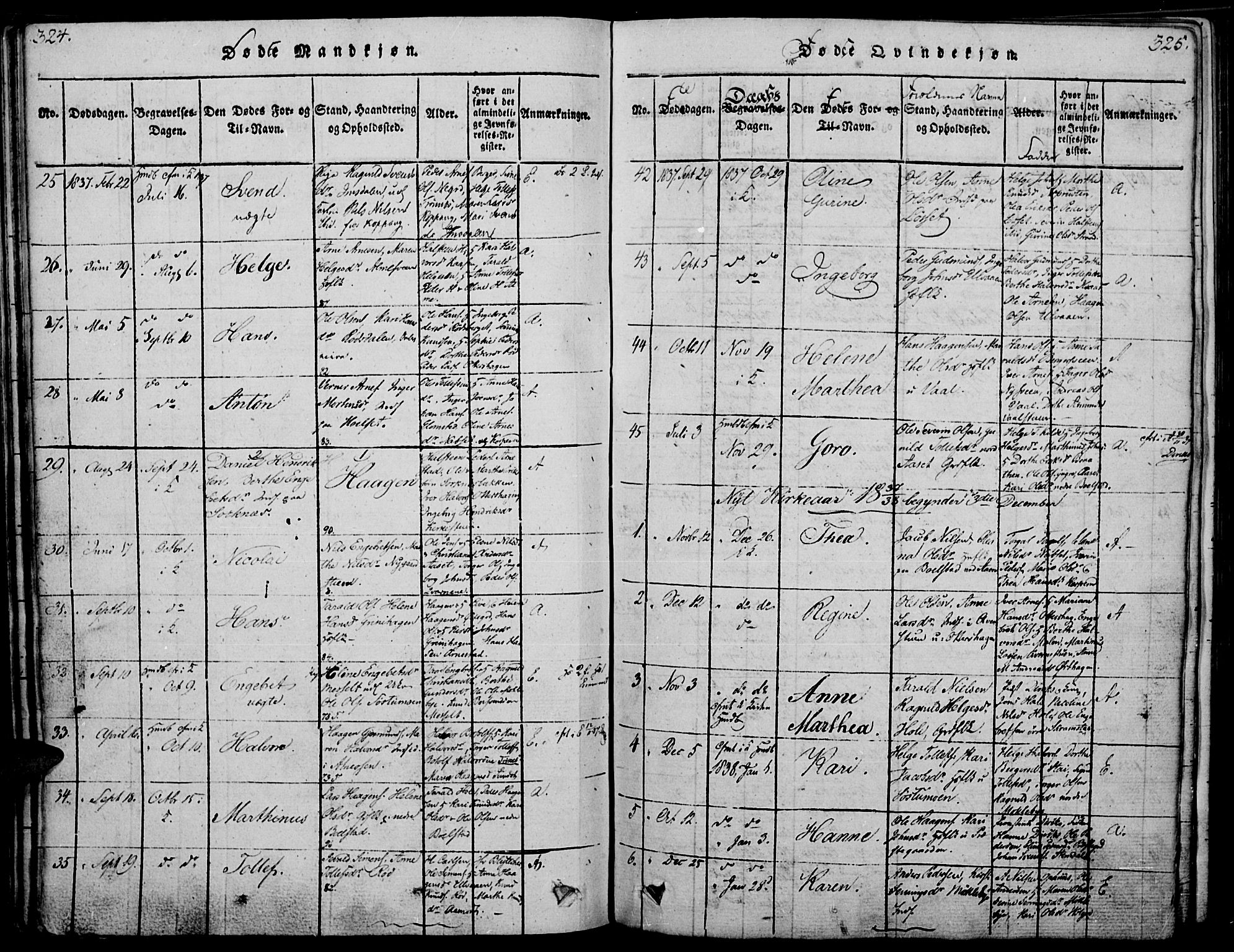 Åmot prestekontor, Hedmark, SAH/PREST-056/H/Ha/Haa/L0005: Parish register (official) no. 5, 1815-1841, p. 324-325