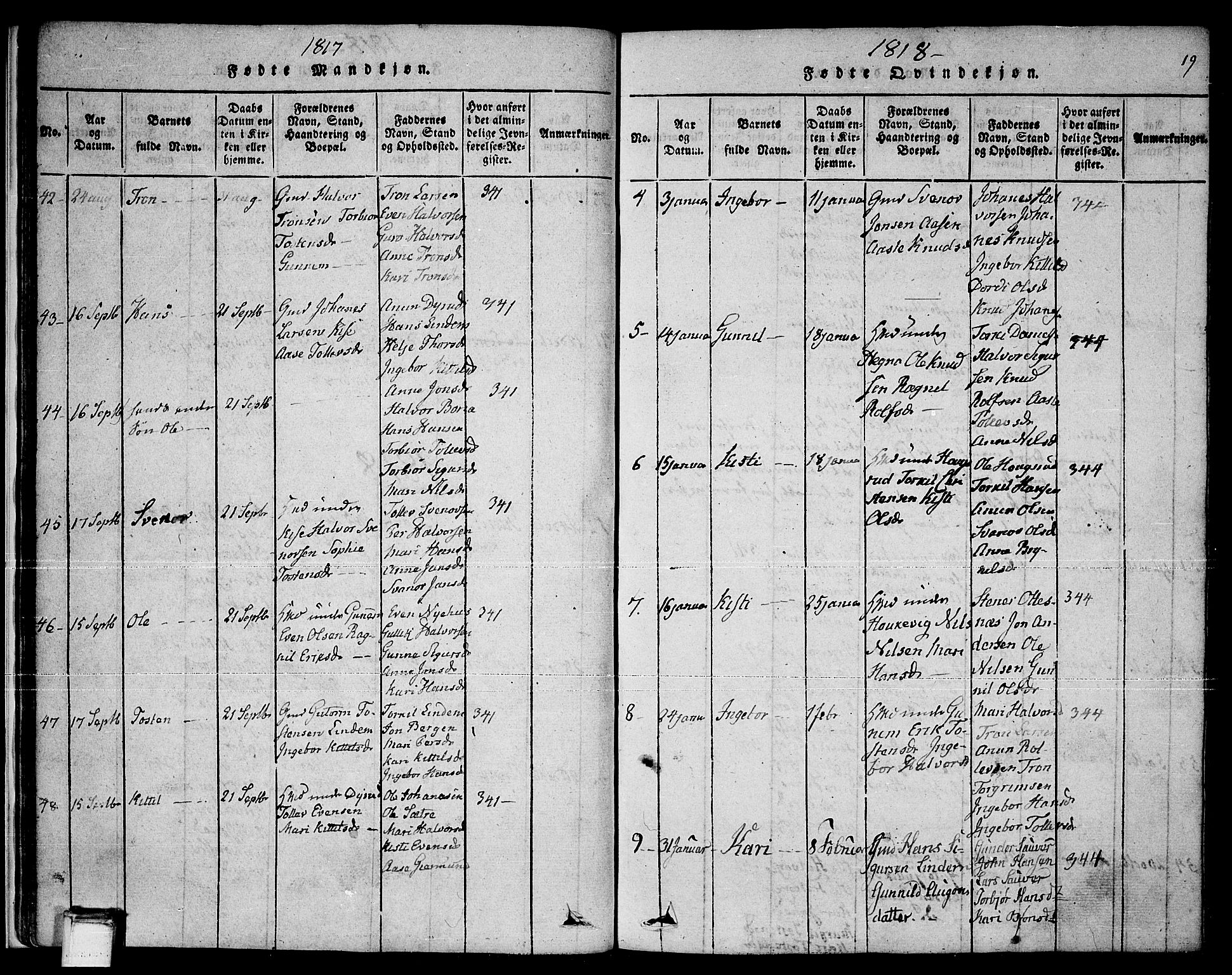 Sauherad kirkebøker, AV/SAKO-A-298/F/Fa/L0005: Parish register (official) no. I 5, 1815-1829, p. 19