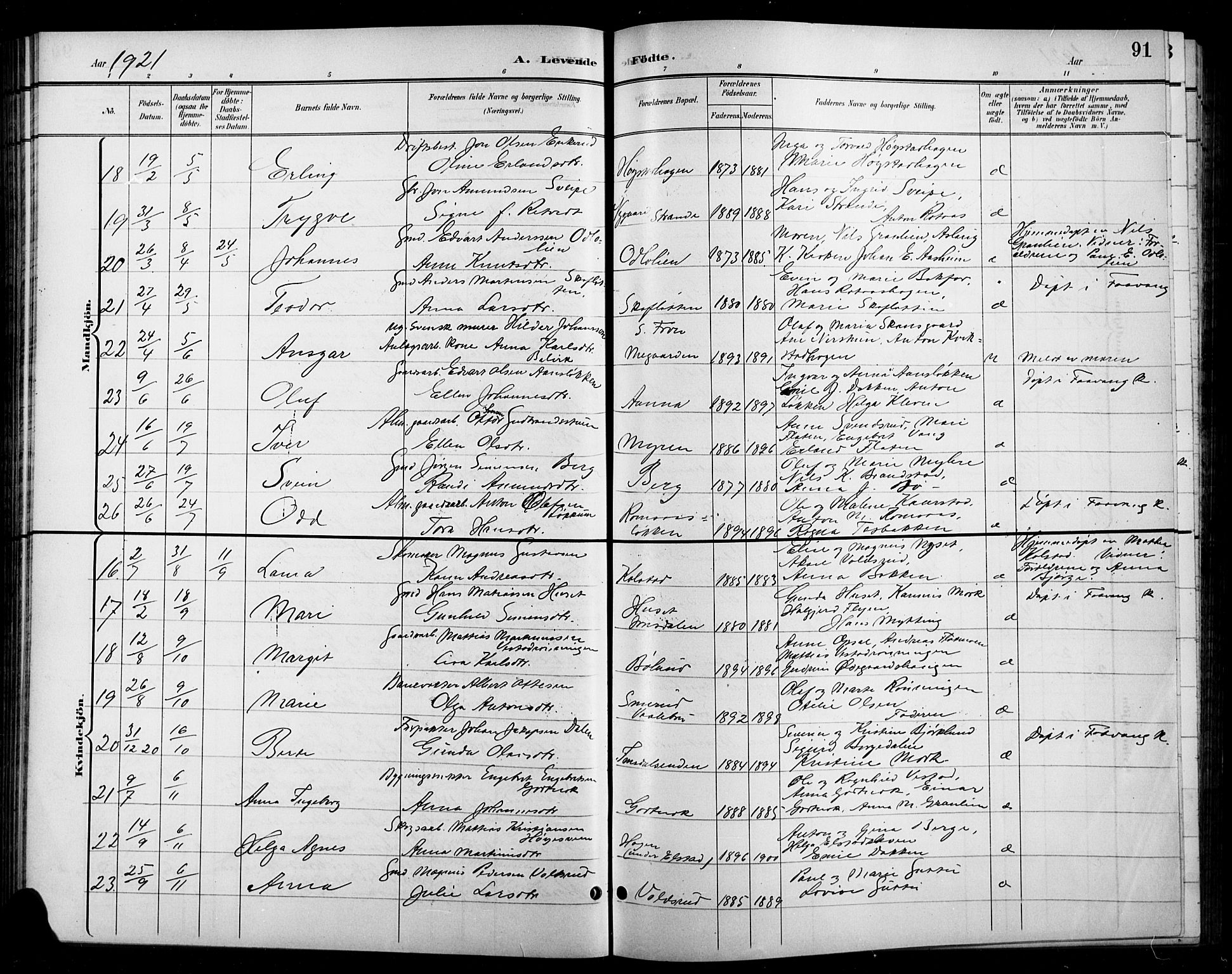 Ringebu prestekontor, AV/SAH-PREST-082/H/Ha/Hab/L0009: Parish register (copy) no. 9, 1899-1921, p. 91