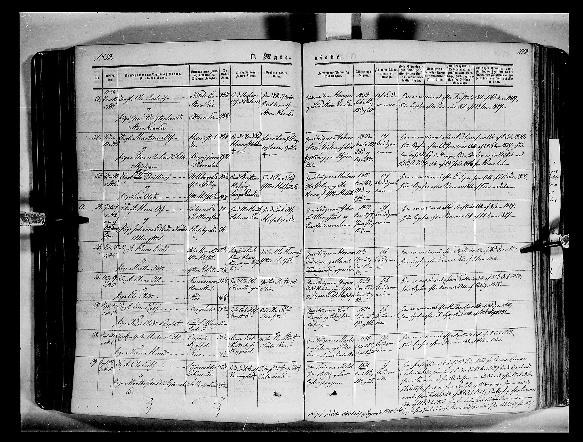 Stange prestekontor, SAH/PREST-002/K/L0012: Parish register (official) no. 12, 1852-1862, p. 243