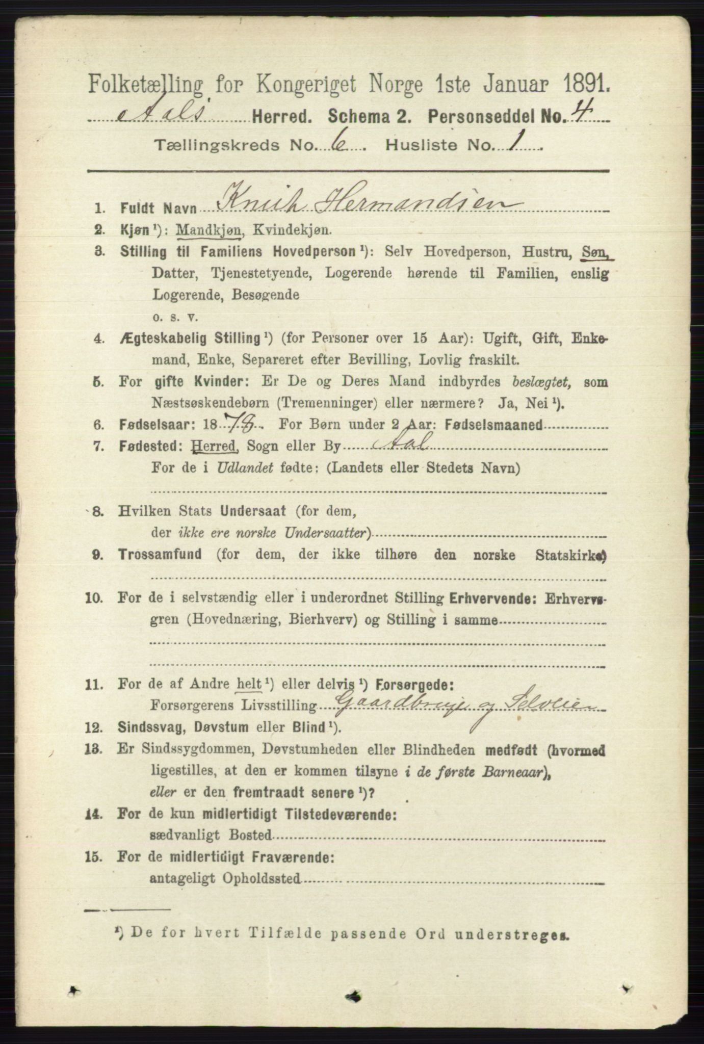 RA, 1891 census for 0619 Ål, 1891, p. 1524