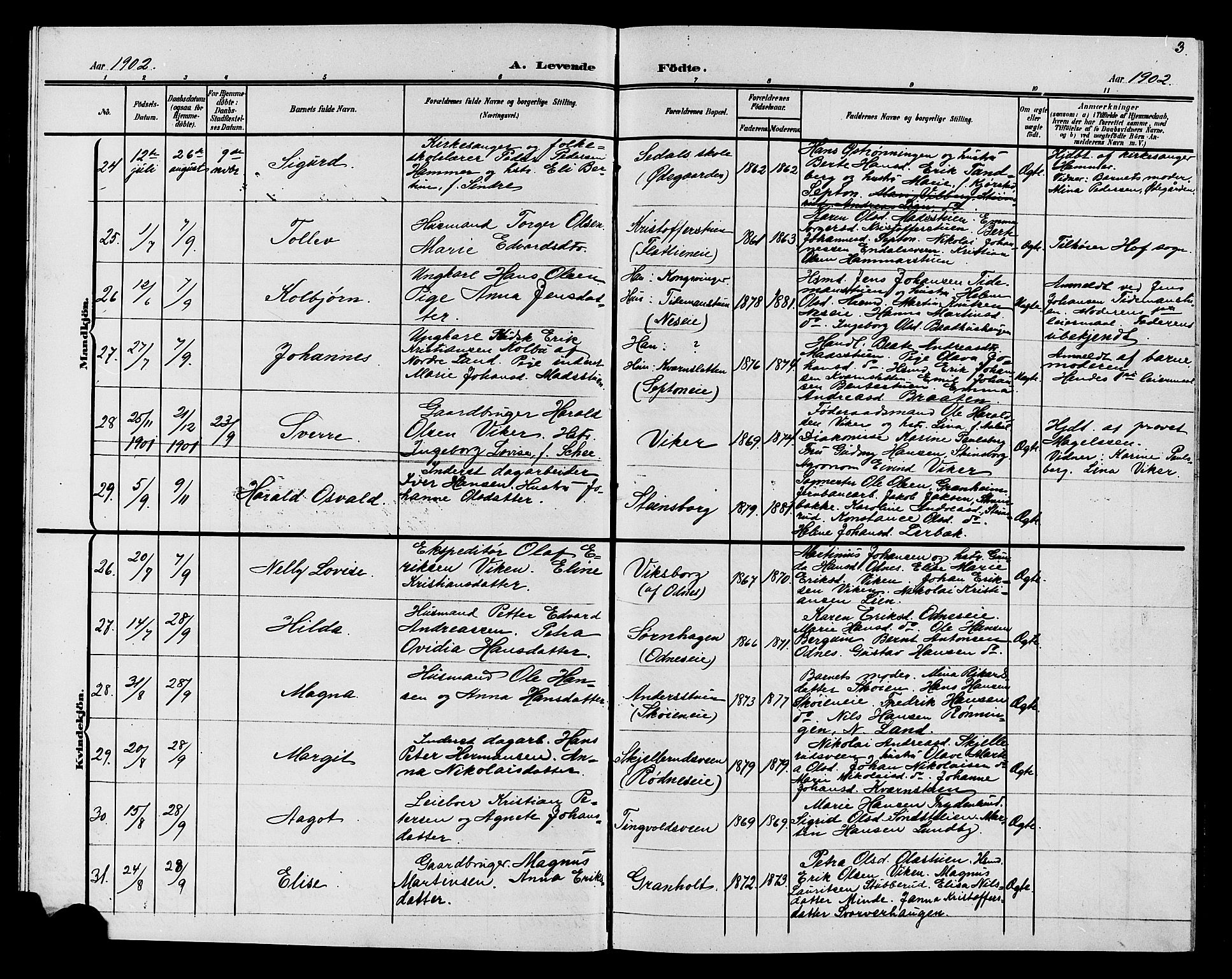 Søndre Land prestekontor, SAH/PREST-122/L/L0005: Parish register (copy) no. 5, 1902-1911, p. 3