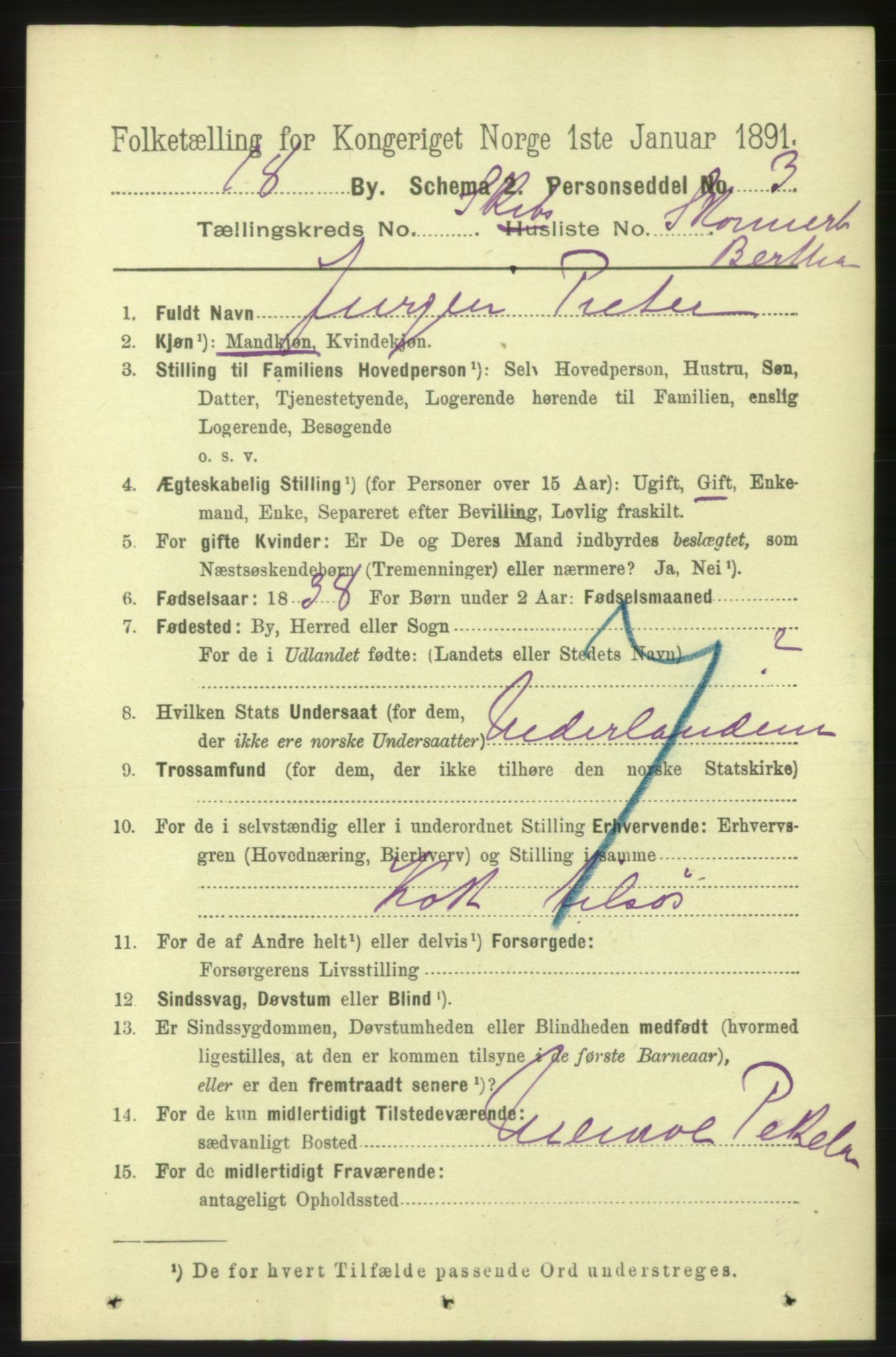 RA, 1891 census for 0701 Svelvik, 1891, p. 2064