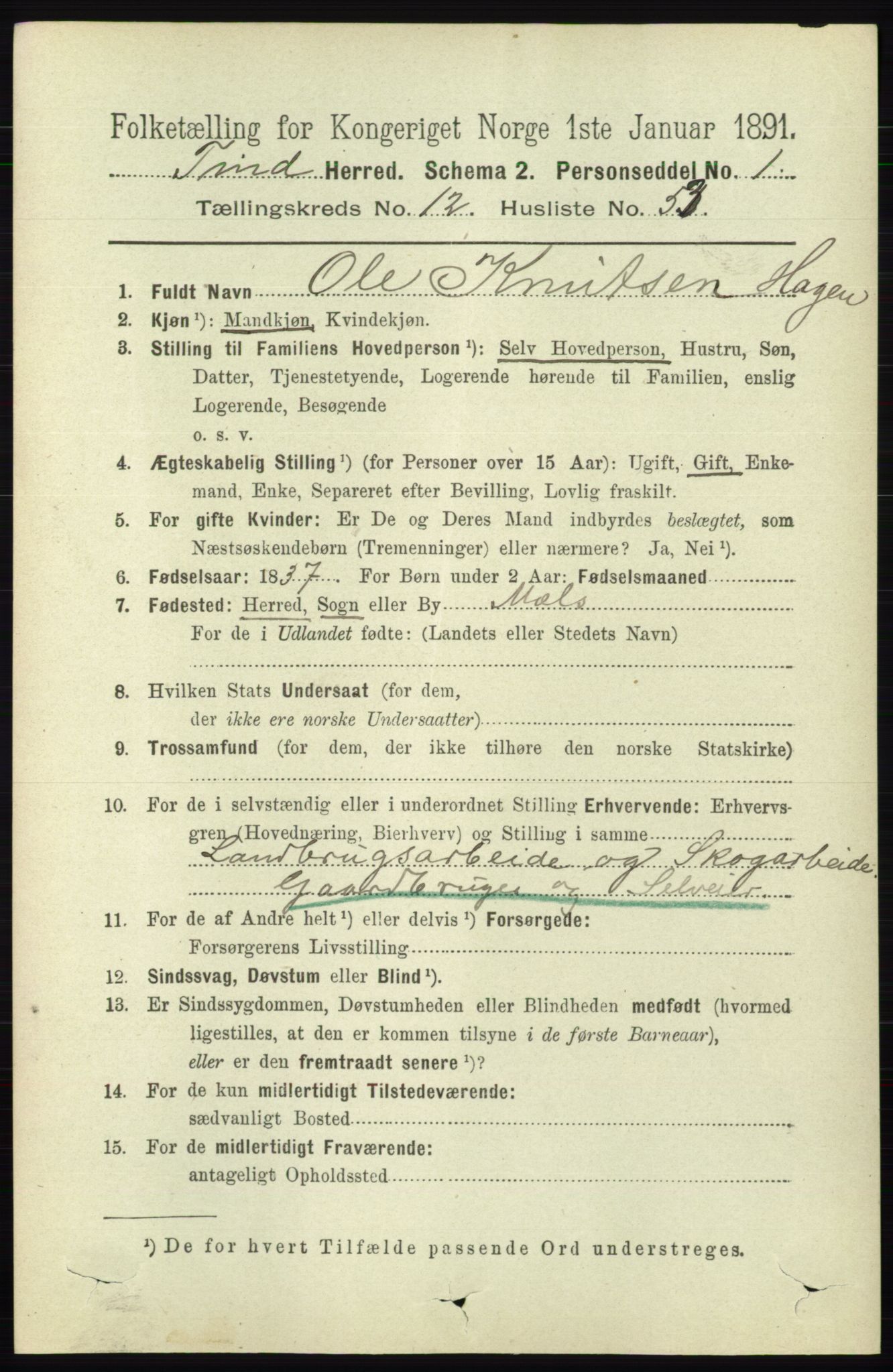 RA, 1891 census for 0826 Tinn, 1891, p. 2618