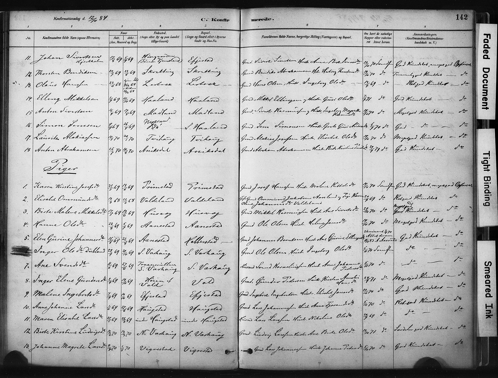 Hå sokneprestkontor, AV/SAST-A-101801/001/30BA/L0011: Parish register (official) no. A 10, 1879-1900, p. 142