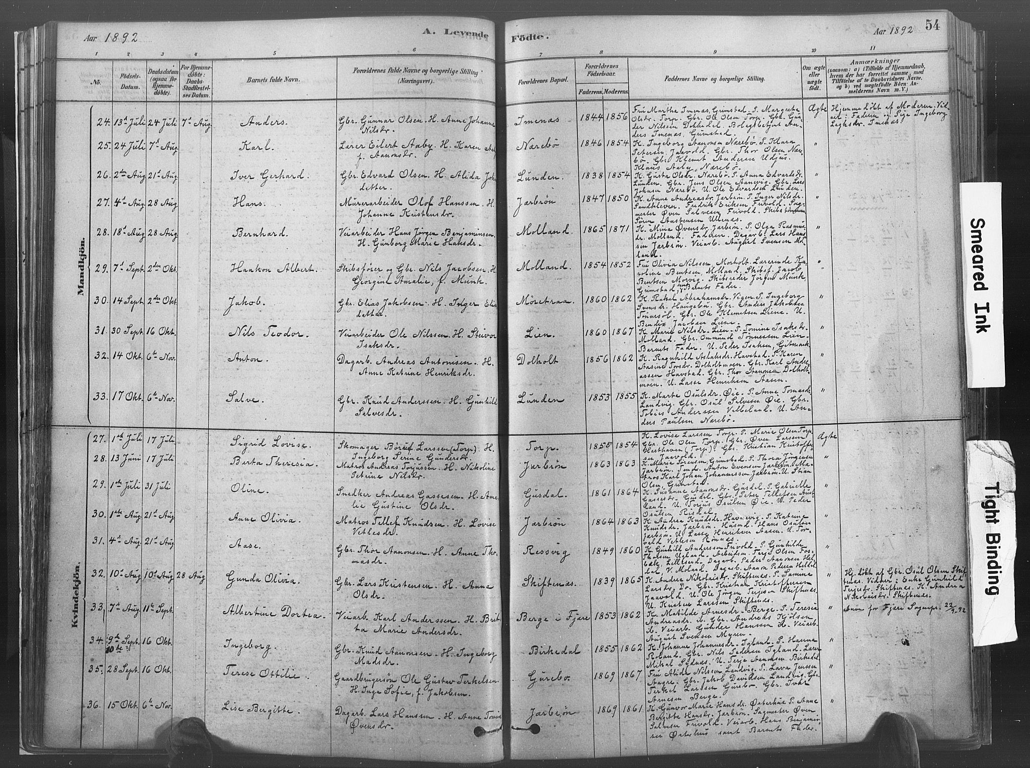 Hommedal sokneprestkontor, AV/SAK-1111-0023/F/Fa/Fab/L0006: Parish register (official) no. A 6, 1878-1897, p. 54
