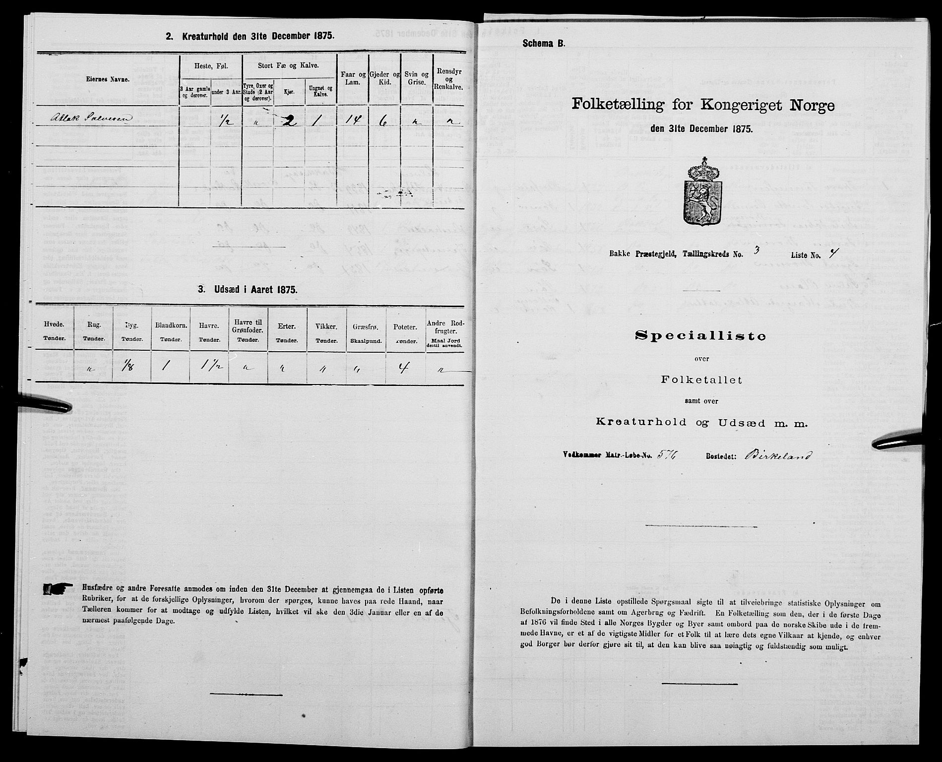 SAK, 1875 census for 1045P Bakke, 1875, p. 227