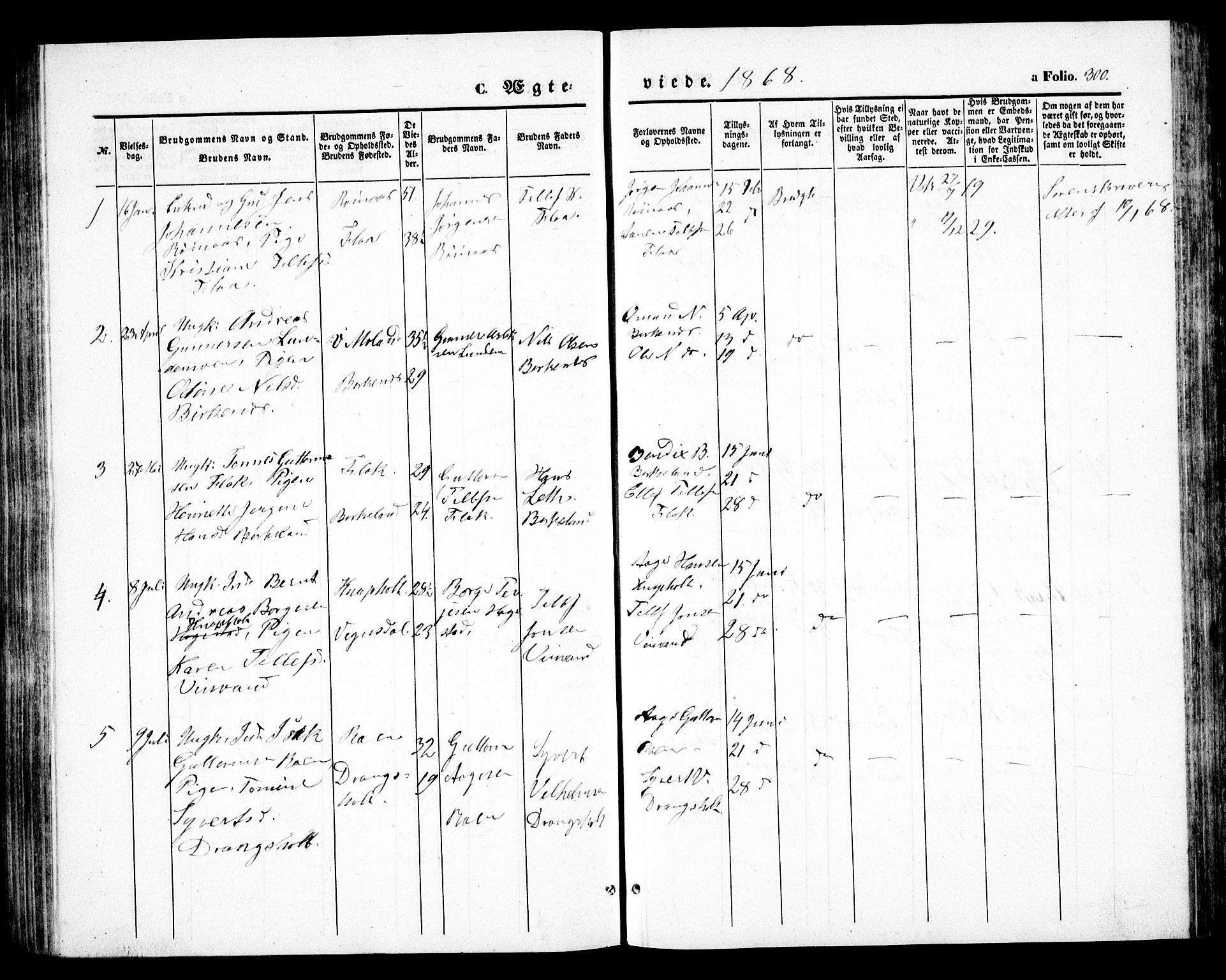 Birkenes sokneprestkontor, SAK/1111-0004/F/Fb/L0002: Parish register (copy) no. B 2, 1849-1876, p. 300