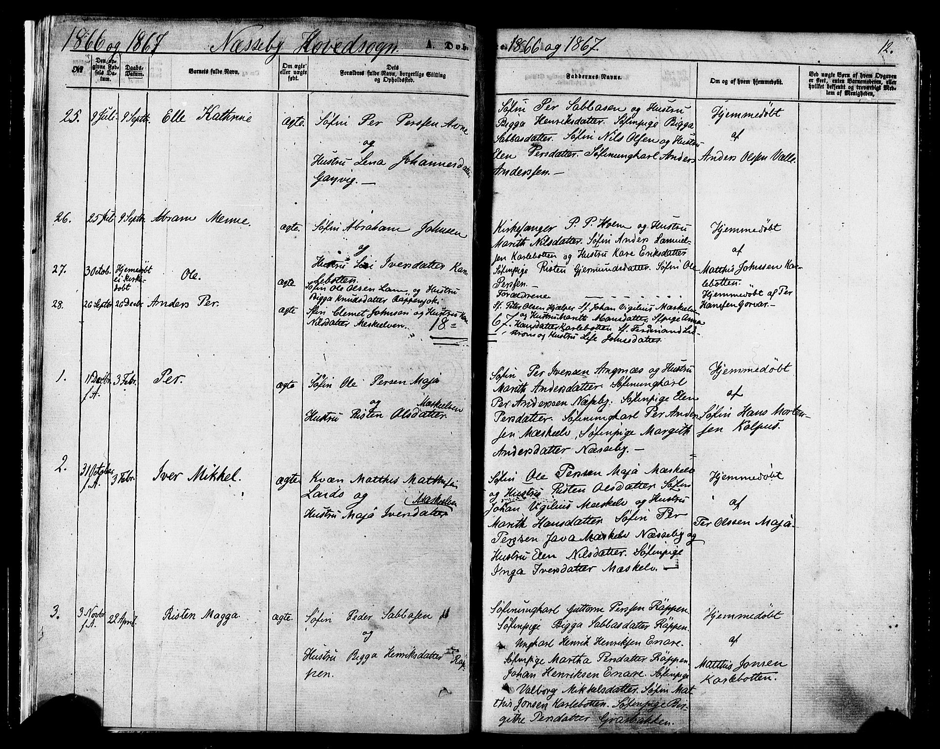 Nesseby sokneprestkontor, SATØ/S-1330/H/Ha/L0003kirke: Parish register (official) no. 3 /1, 1865-1876, p. 12