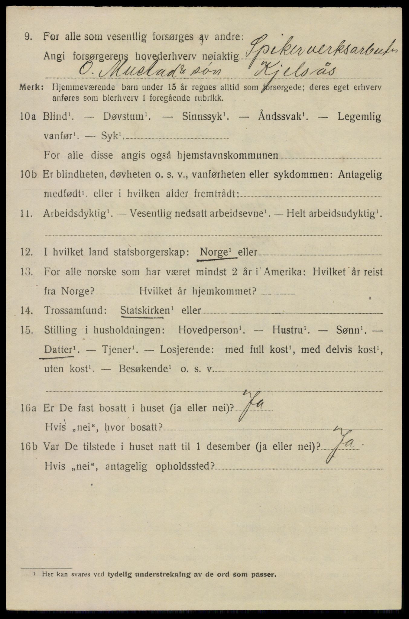 SAO, 1920 census for Aker, 1920, p. 86113