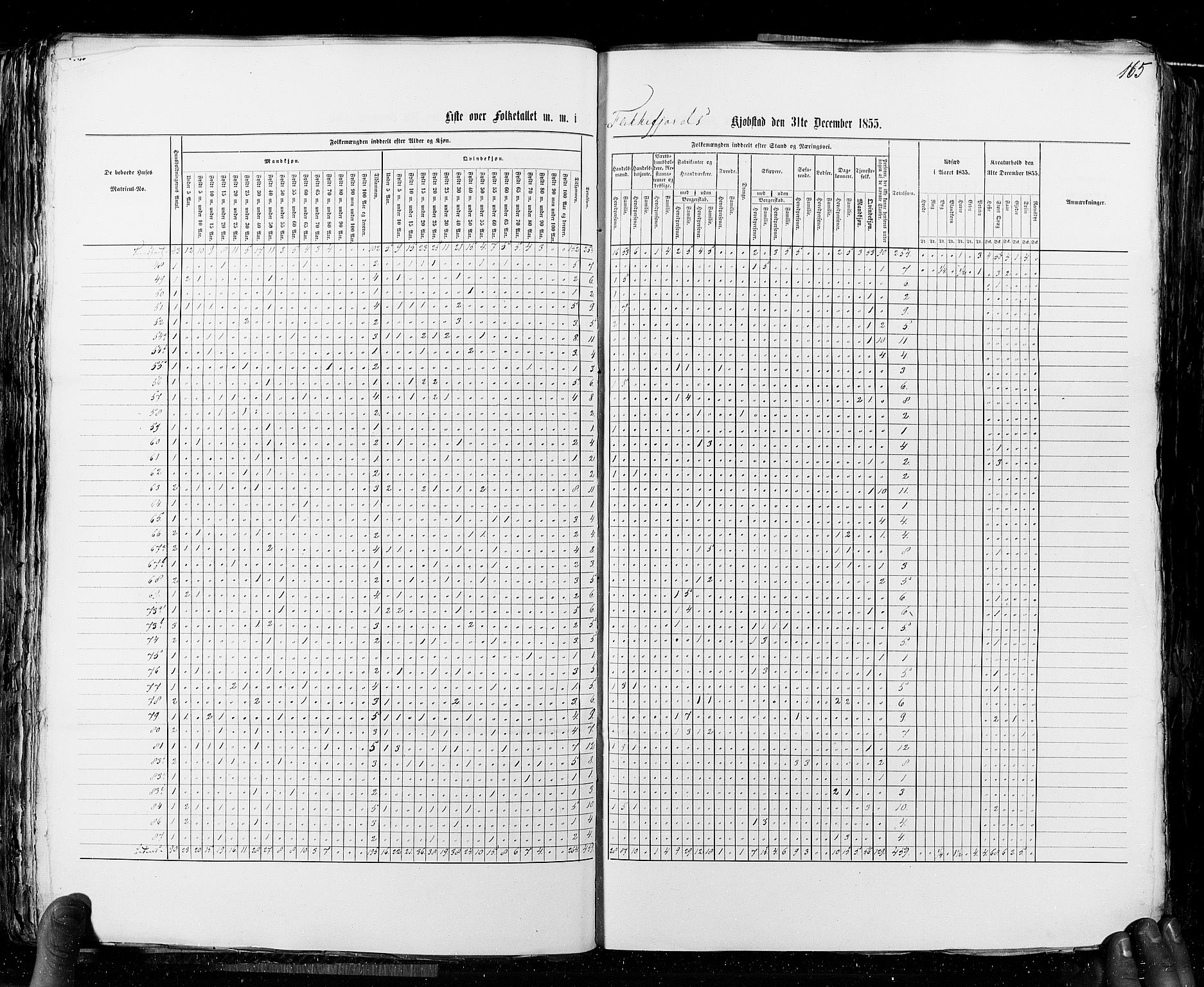 RA, Census 1855, vol. 8: Risør-Vadsø, 1855, p. 165