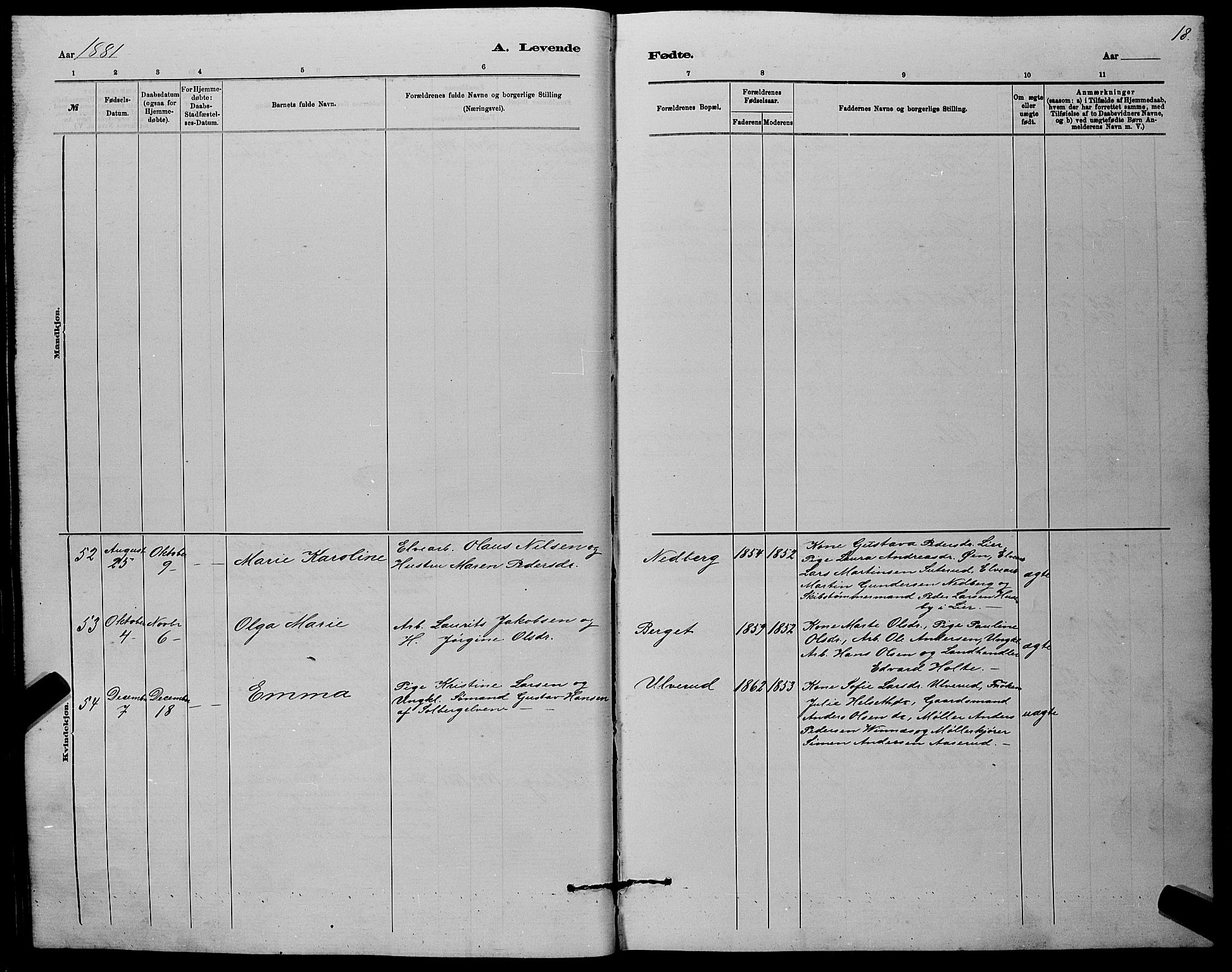 Nedre Eiker kirkebøker, AV/SAKO-A-612/G/Ga/L0002: Parish register (copy) no. 2, 1880-1896, p. 18