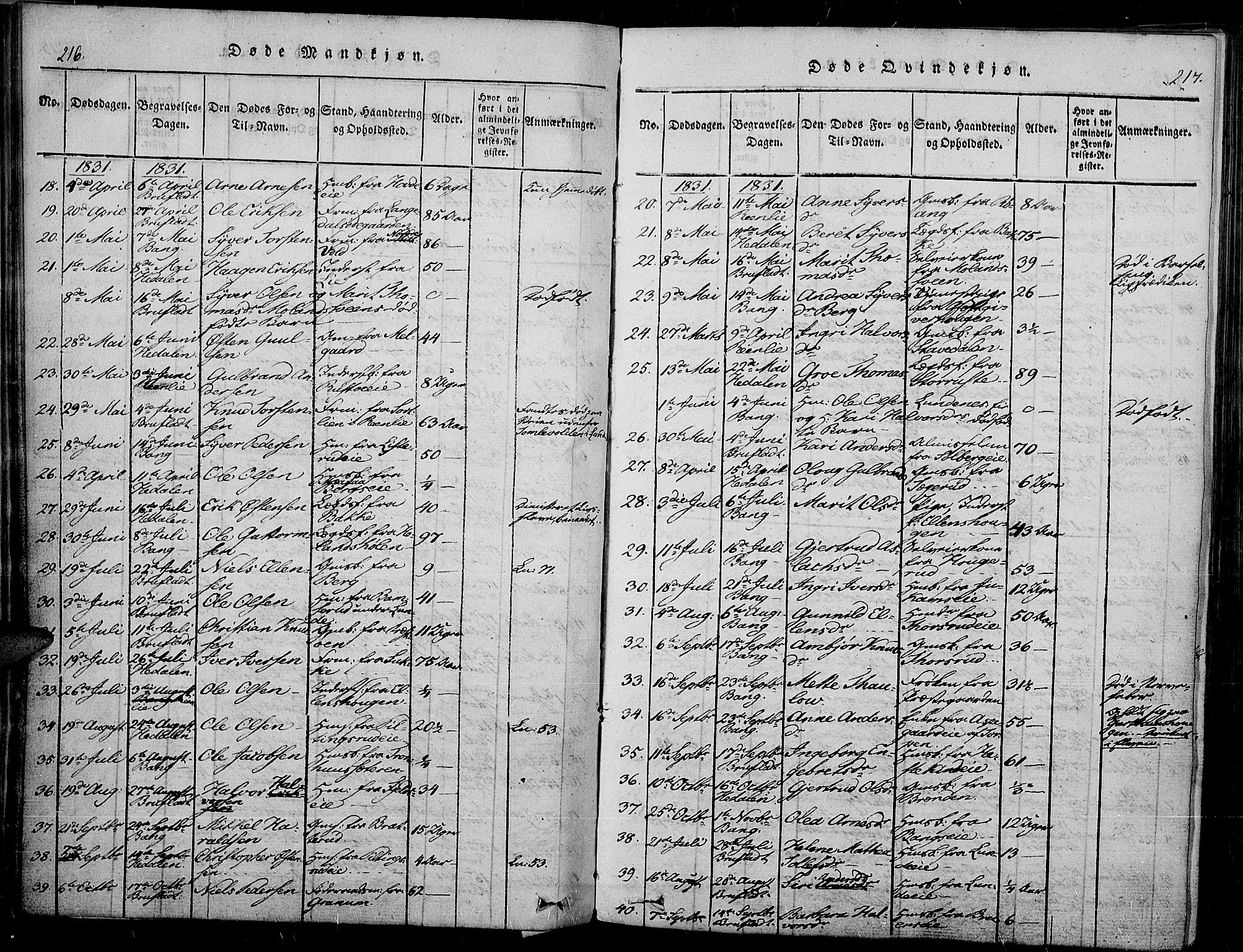 Sør-Aurdal prestekontor, SAH/PREST-128/H/Ha/Haa/L0003: Parish register (official) no. 3, 1825-1840, p. 216-217