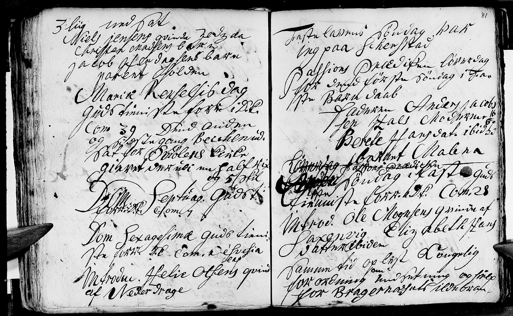 Ministerialprotokoller, klokkerbøker og fødselsregistre - Nordland, AV/SAT-A-1459/847/L0662: Parish register (official) no. 847A02, 1735-1749, p. 81