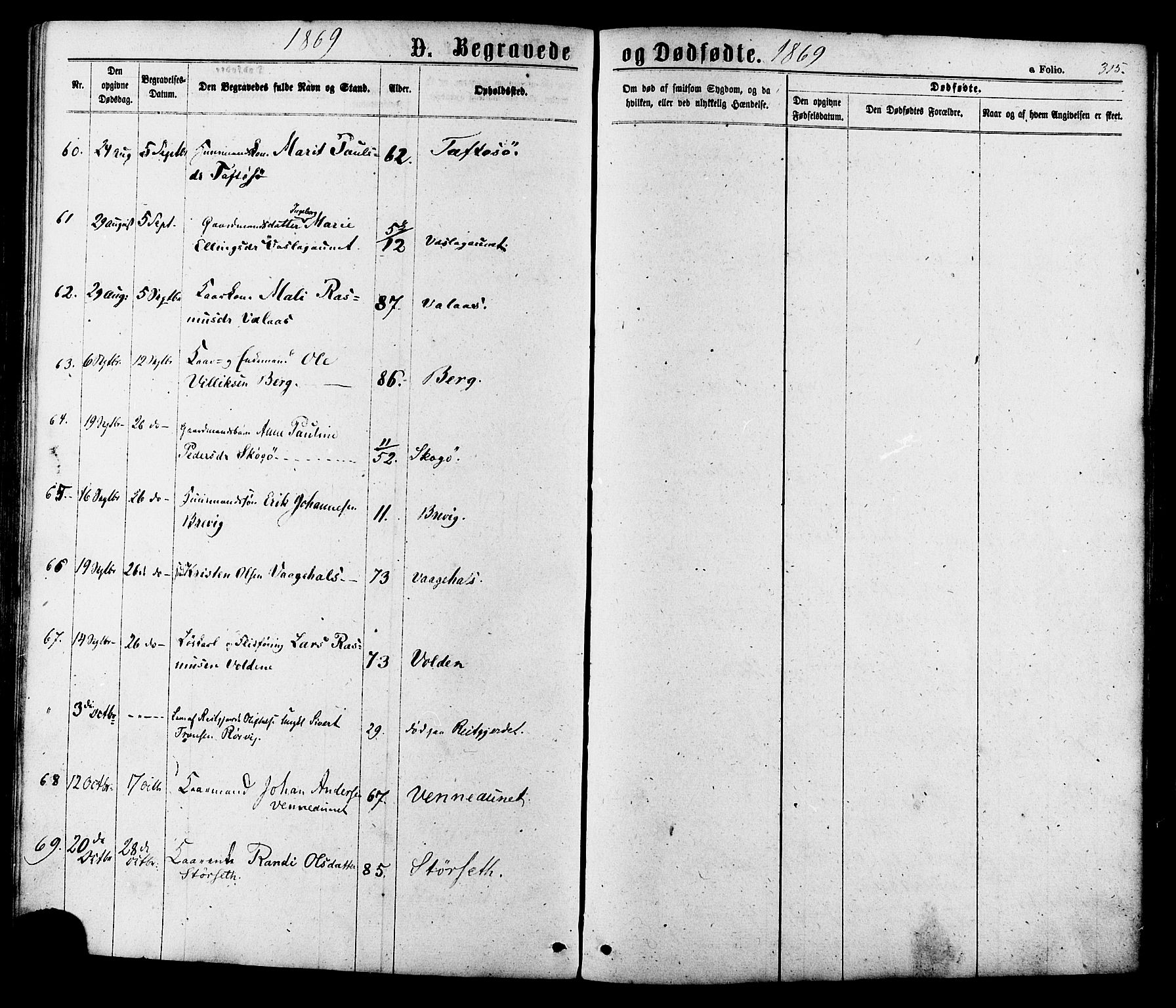 Ministerialprotokoller, klokkerbøker og fødselsregistre - Sør-Trøndelag, AV/SAT-A-1456/630/L0495: Parish register (official) no. 630A08, 1868-1878, p. 315