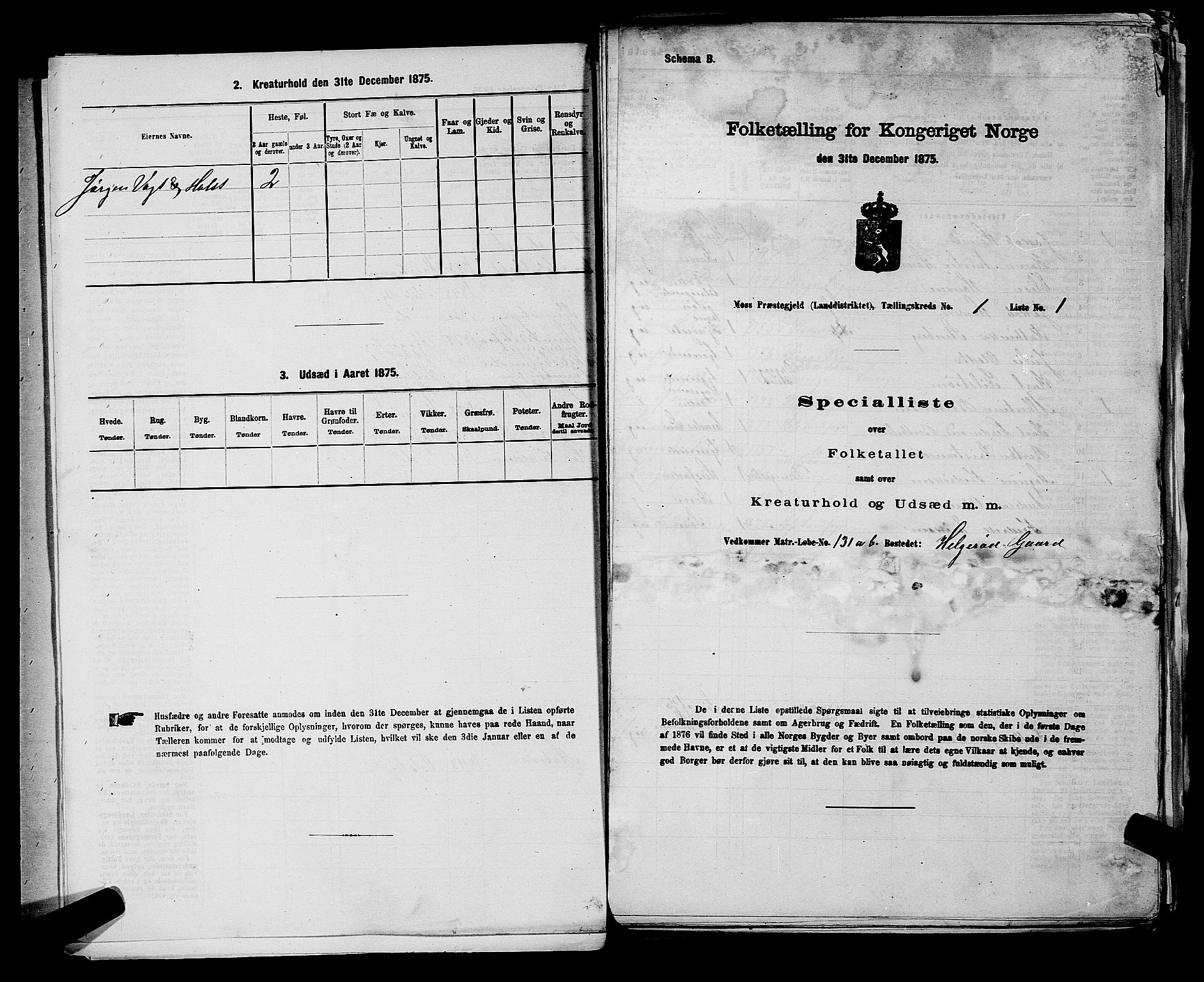 RA, 1875 census for 0194L Moss/Moss, 1875, p. 28