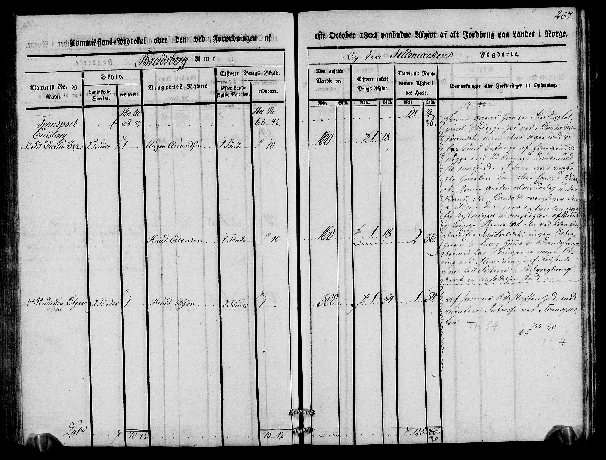 Rentekammeret inntil 1814, Realistisk ordnet avdeling, AV/RA-EA-4070/N/Ne/Nea/L0075: Øvre Telemarken fogderi. Kommisjonsprotokoll for fogderiets vestre del - Kviteseid, Vinje, Moland [):Fyresdal] og Lårdal prestegjeld., 1803, p. 269