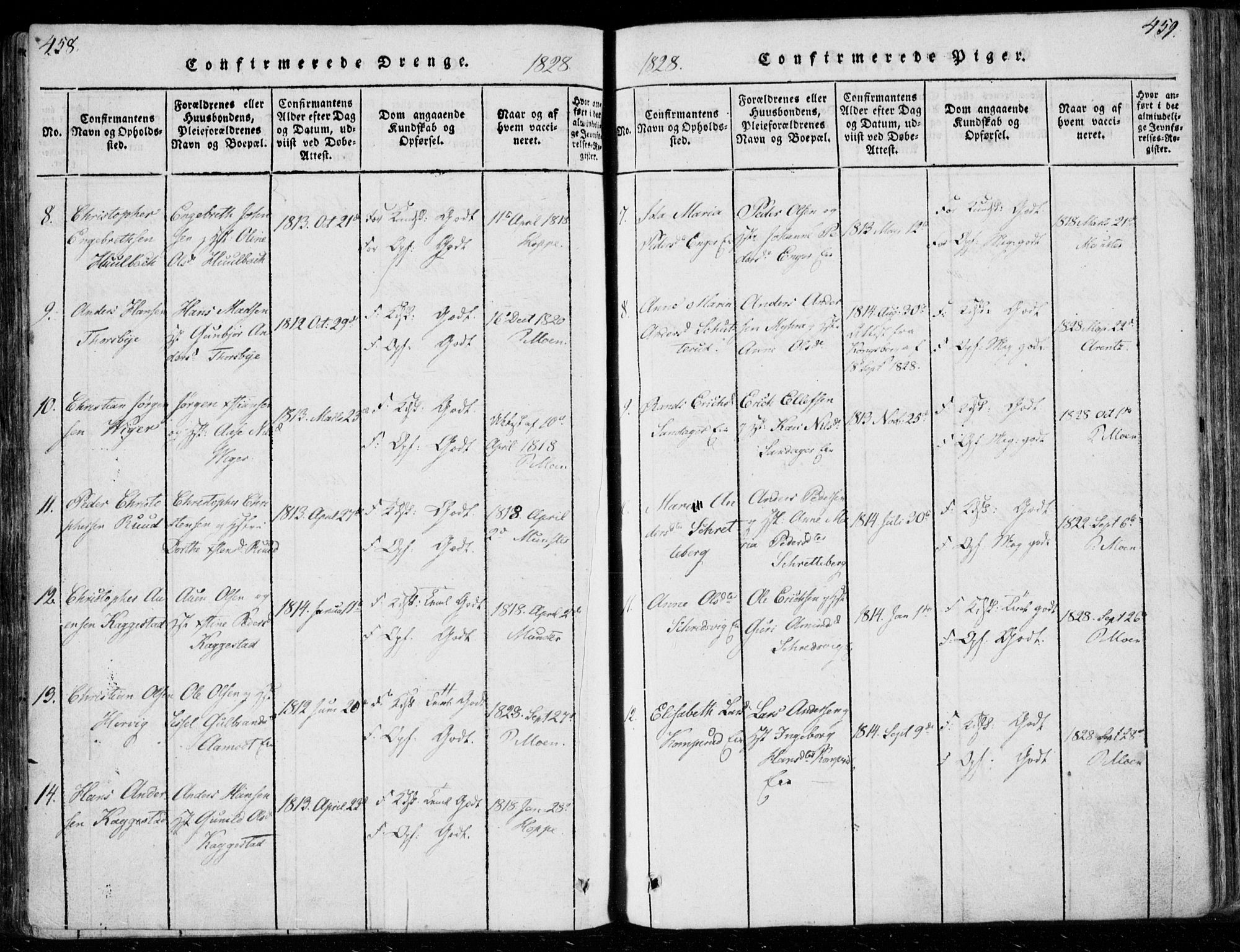 Modum kirkebøker, AV/SAKO-A-234/F/Fa/L0006: Parish register (official) no. 6, 1832-1841, p. 458-459