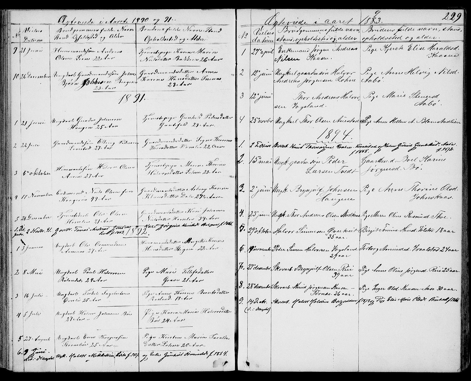 Drangedal kirkebøker, SAKO/A-258/G/Gb/L0001: Parish register (copy) no. II 1, 1856-1894, p. 229