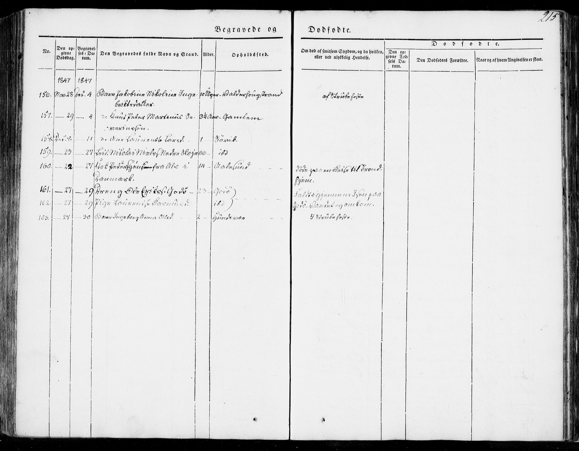 Ministerialprotokoller, klokkerbøker og fødselsregistre - Møre og Romsdal, AV/SAT-A-1454/528/L0396: Parish register (official) no. 528A07, 1839-1847, p. 215