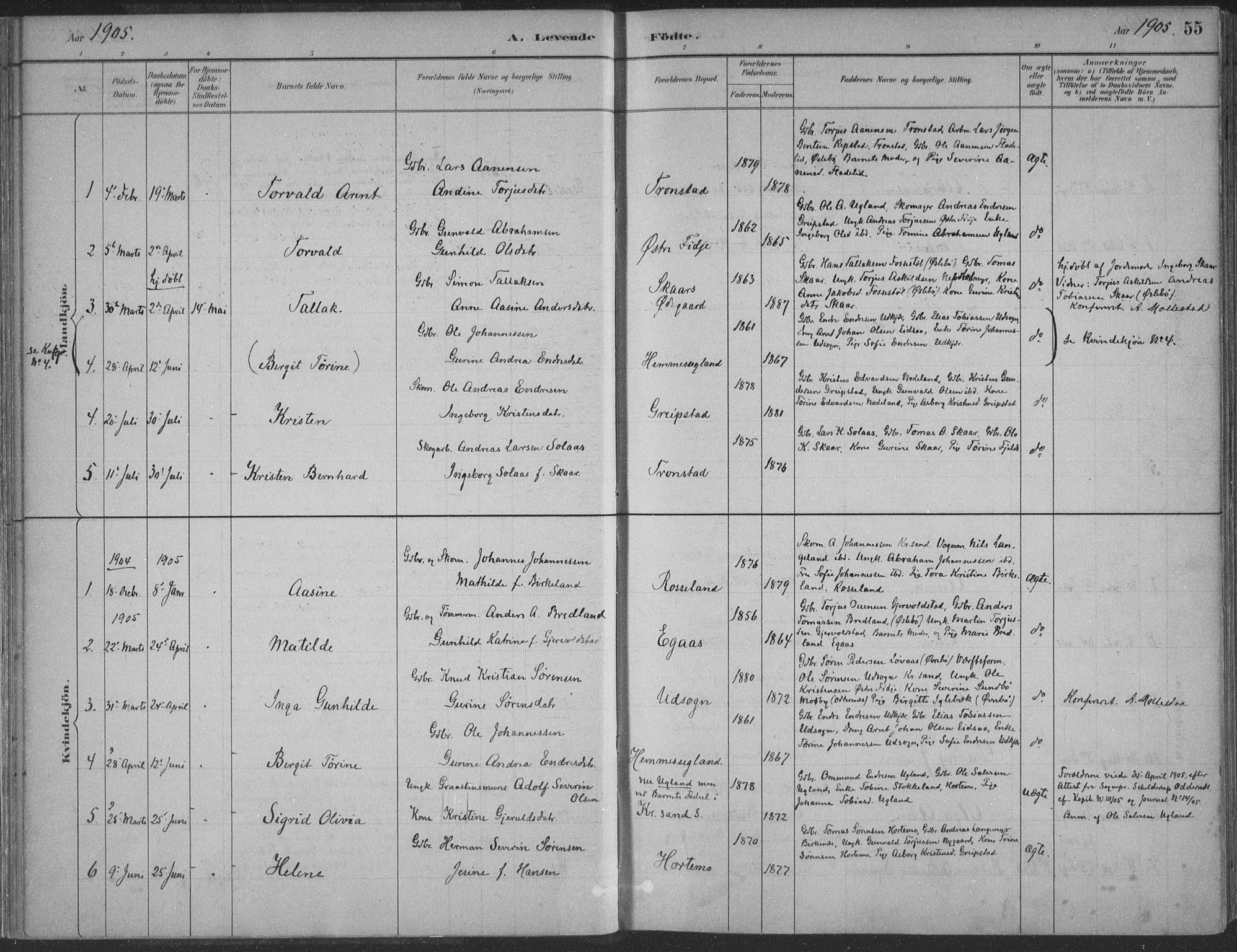 Søgne sokneprestkontor, SAK/1111-0037/F/Fa/Faa/L0003: Parish register (official) no. A 3, 1883-1910, p. 55