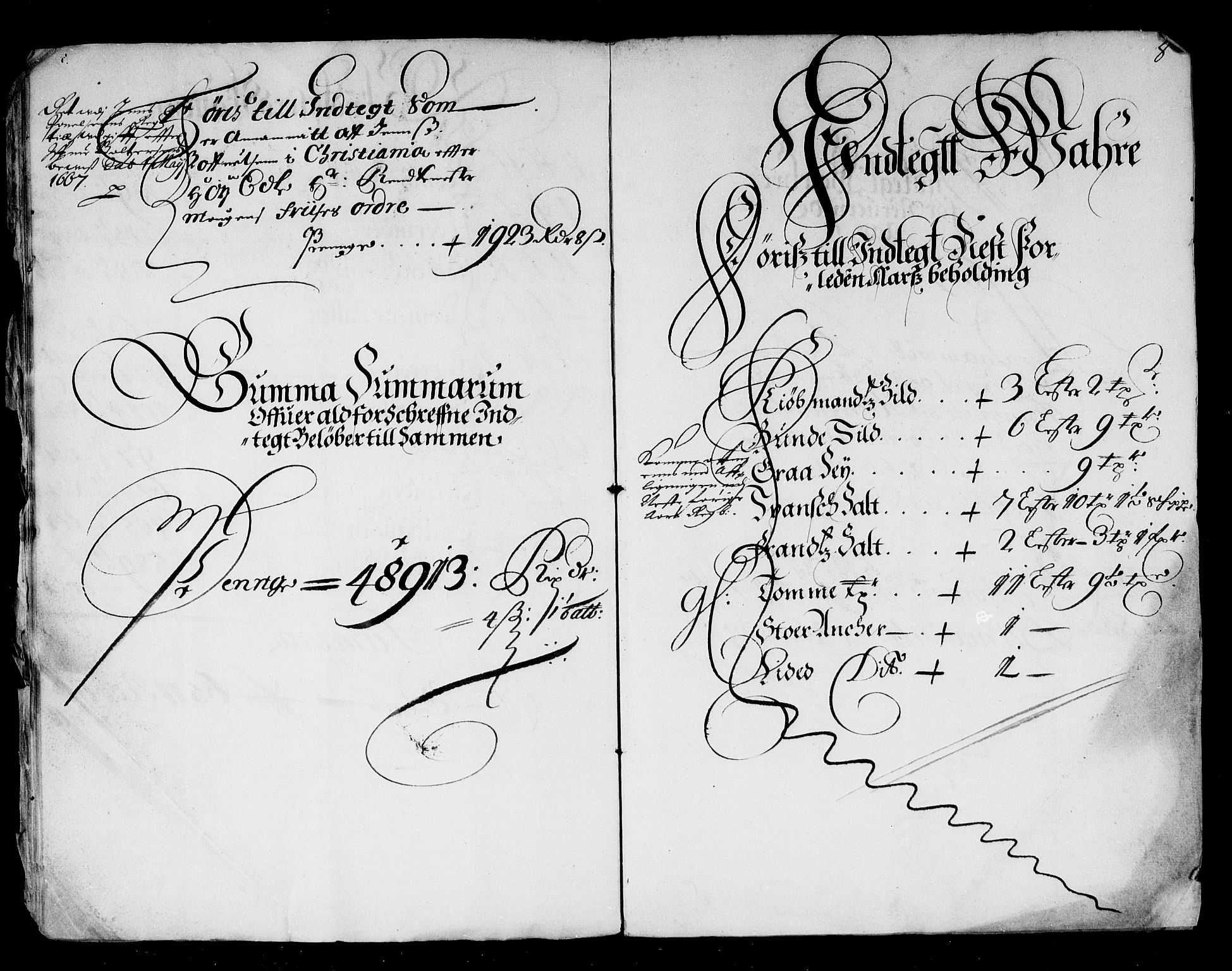 Rentekammeret inntil 1814, Reviderte regnskaper, Stiftamtstueregnskaper, Trondheim stiftamt og Nordland amt, AV/RA-EA-6044/R/Rd/L0016: Trondheim stiftamt, 1666