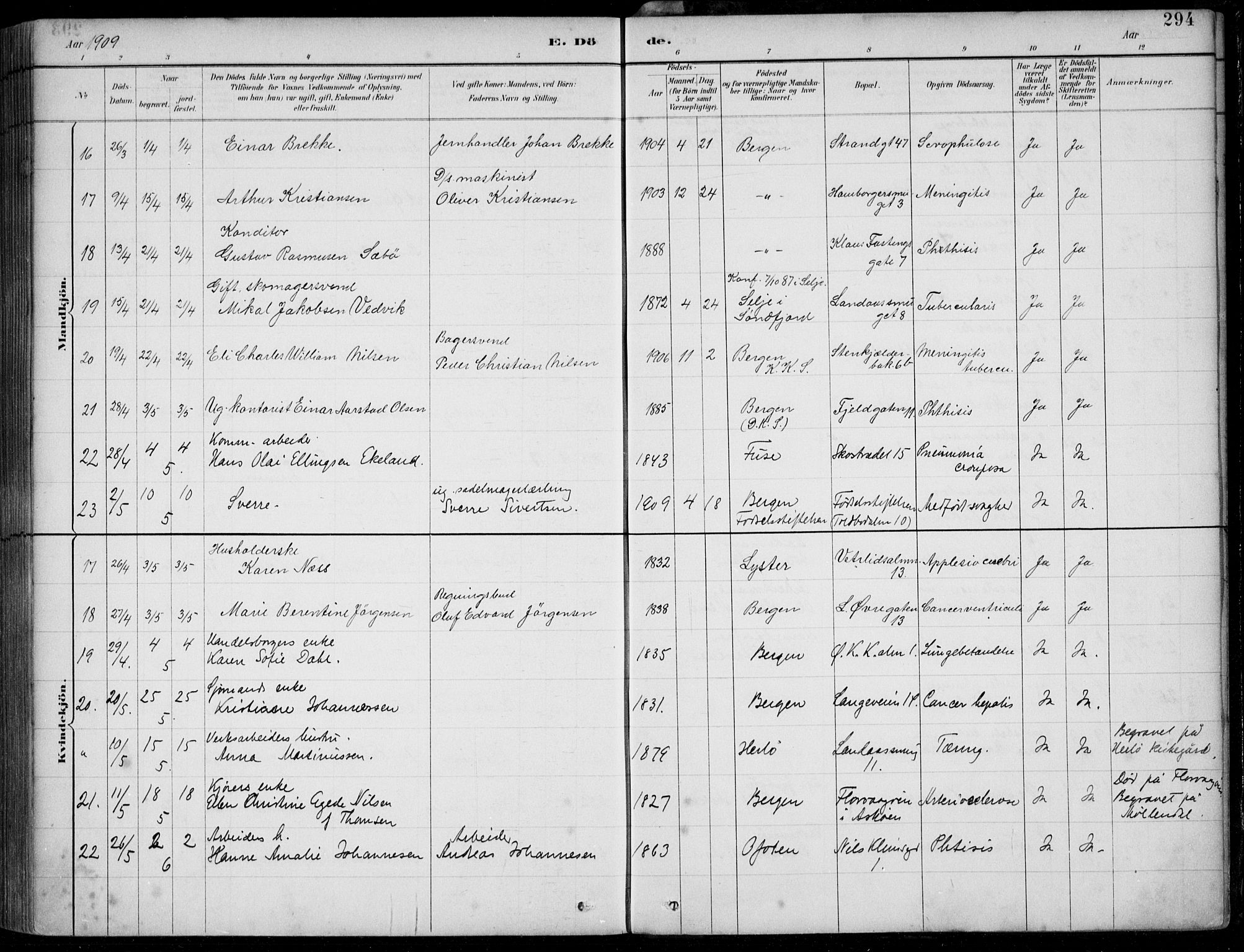 Korskirken sokneprestembete, AV/SAB-A-76101/H/Hab: Parish register (copy) no. E 4, 1884-1910, p. 294