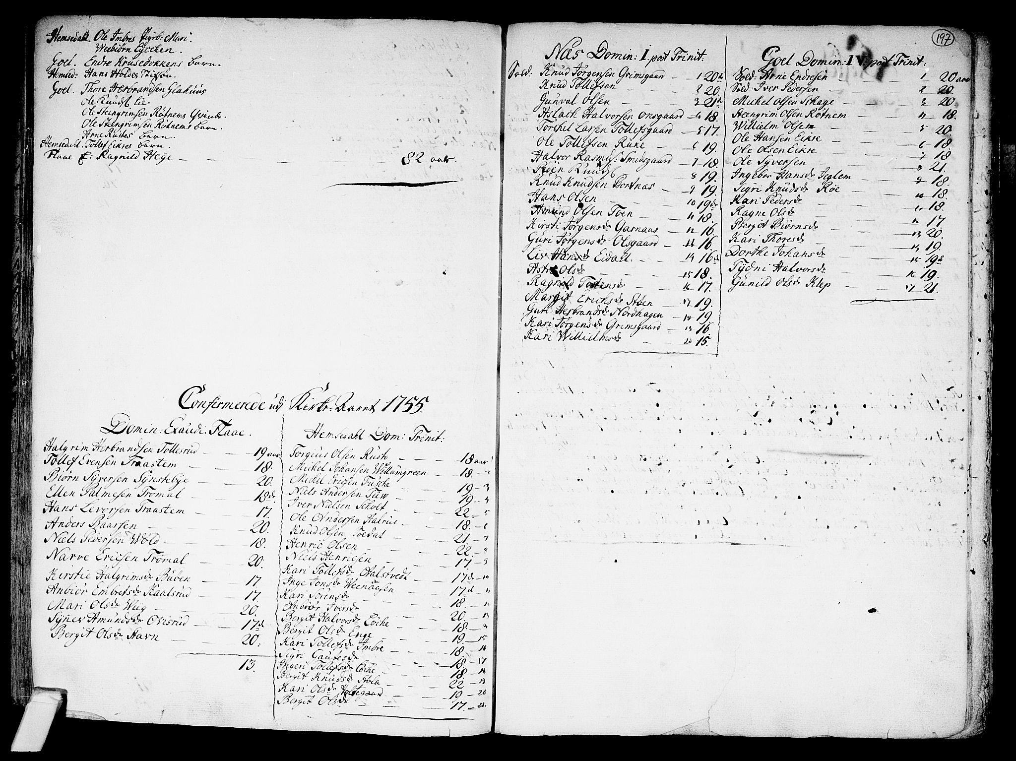 Nes kirkebøker, SAKO/A-236/F/Fa/L0002: Parish register (official) no. 2, 1707-1759, p. 197
