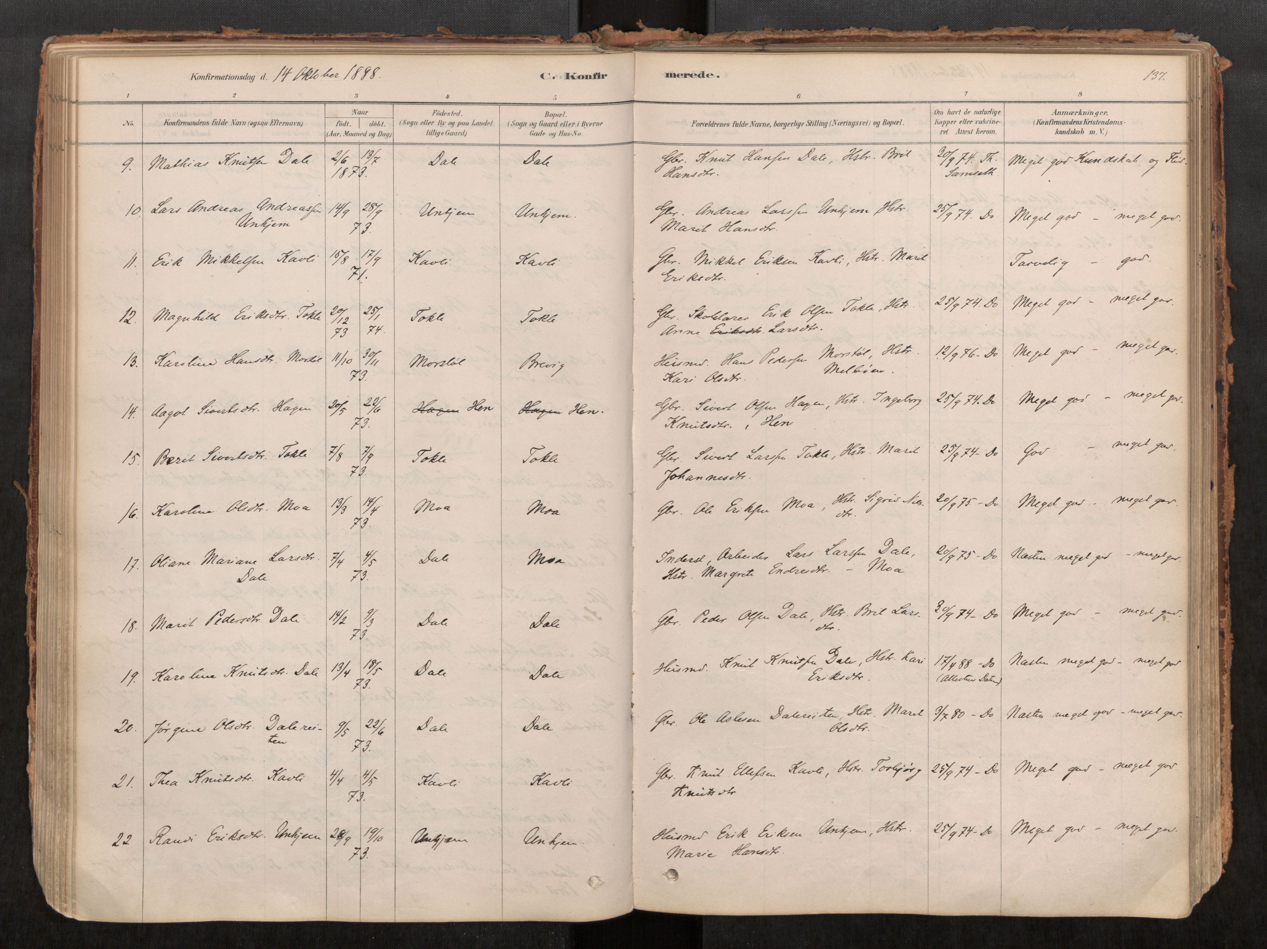 Ministerialprotokoller, klokkerbøker og fødselsregistre - Møre og Romsdal, SAT/A-1454/545/L0594: Parish register (official) no. 545A03, 1878-1920, p. 137