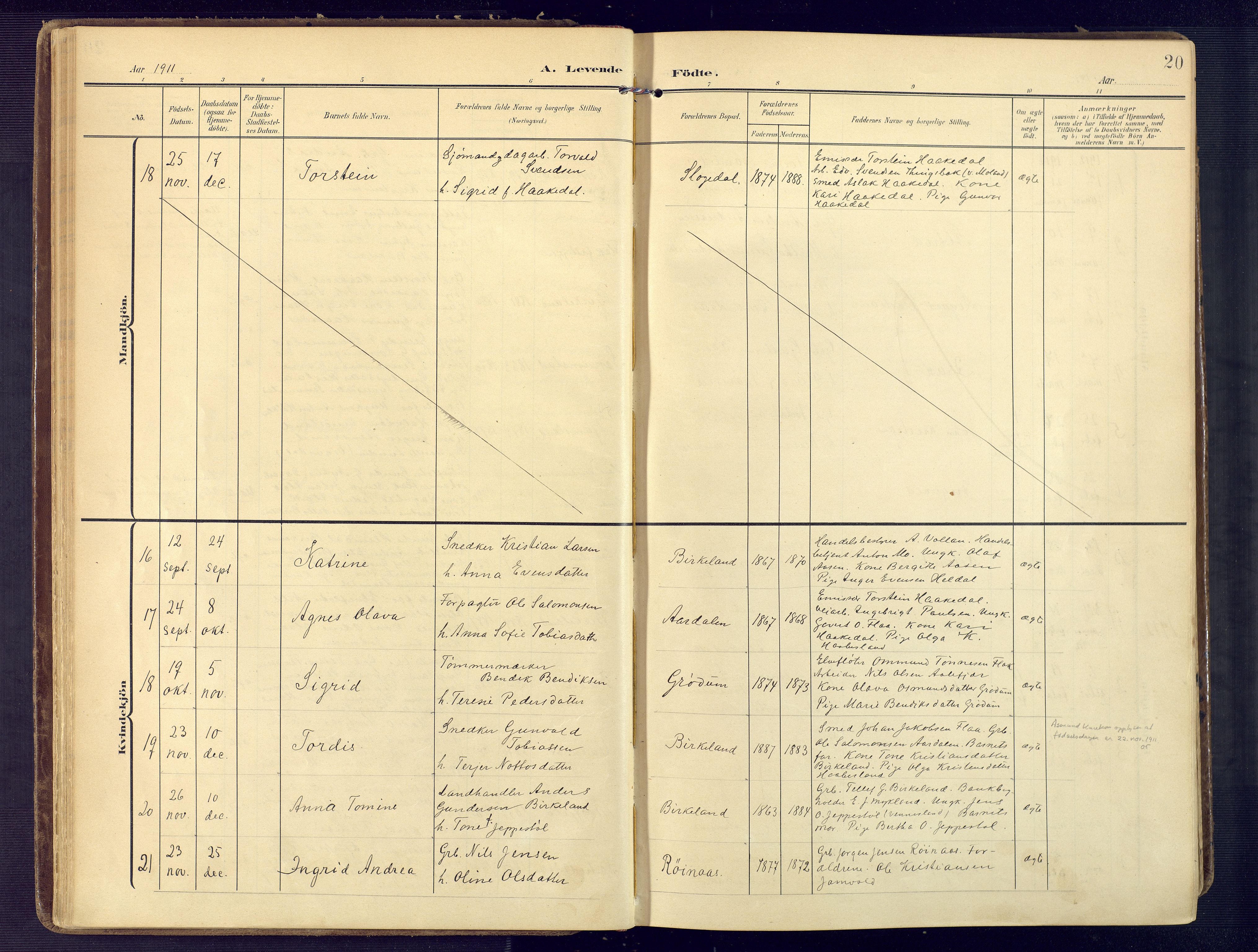 Birkenes sokneprestkontor, AV/SAK-1111-0004/F/Fa/L0006: Parish register (official) no. A 6, 1908-1932, p. 20